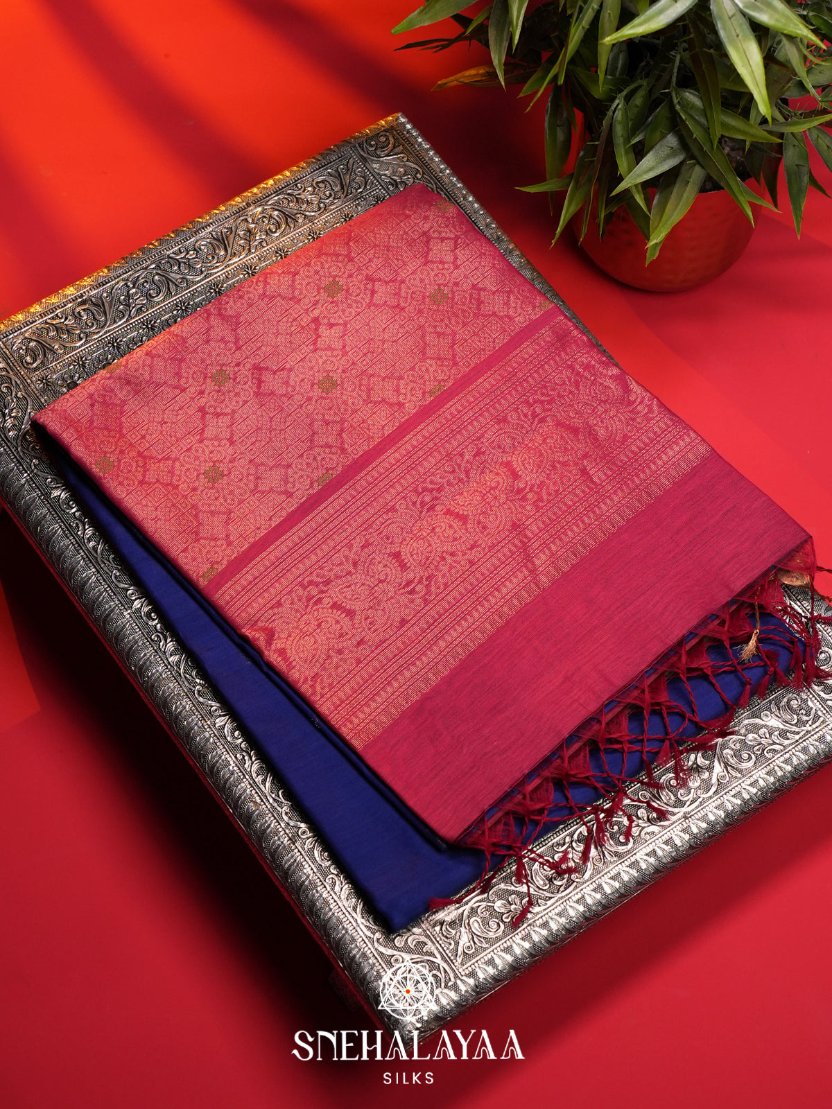 Purple Kanchi Silk Cotton Saree