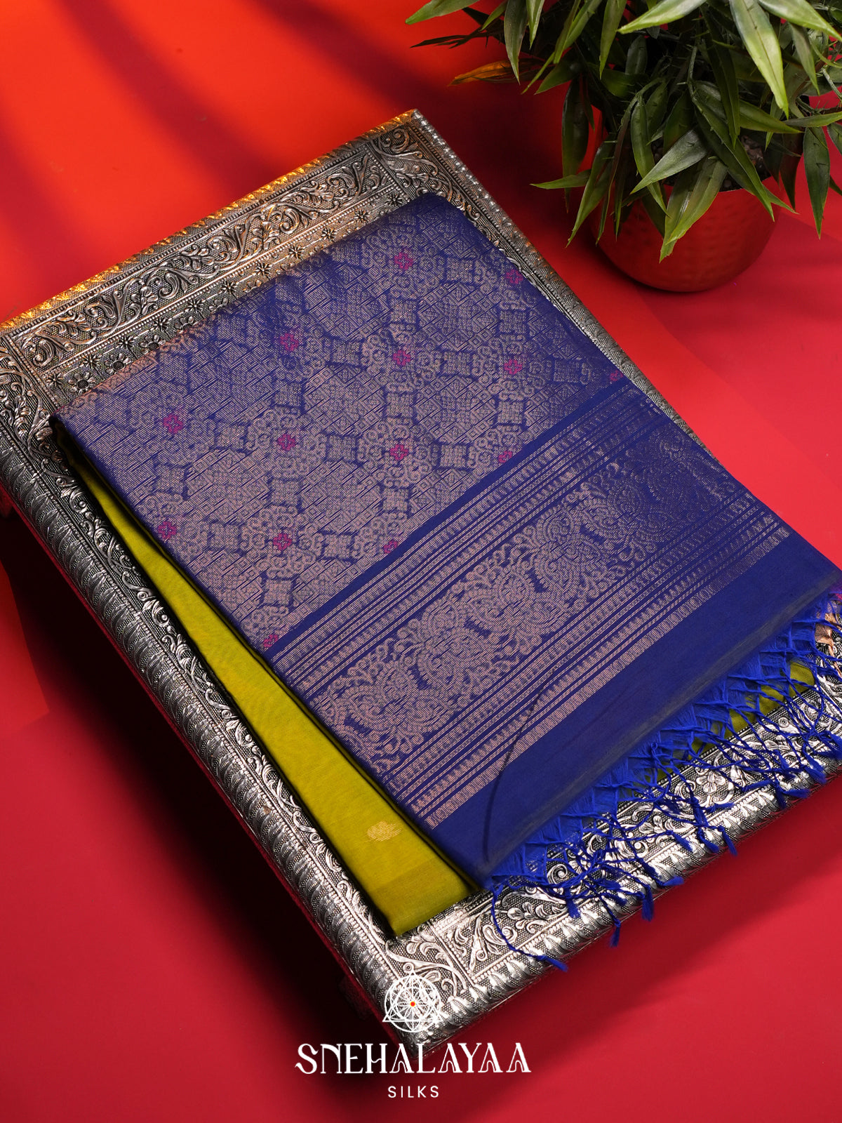 Lime Green Kanchi Silk Cotton Saree