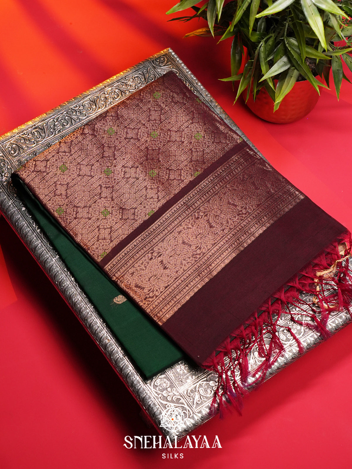 Forest Green Kanchi Silk Cotton Saree
