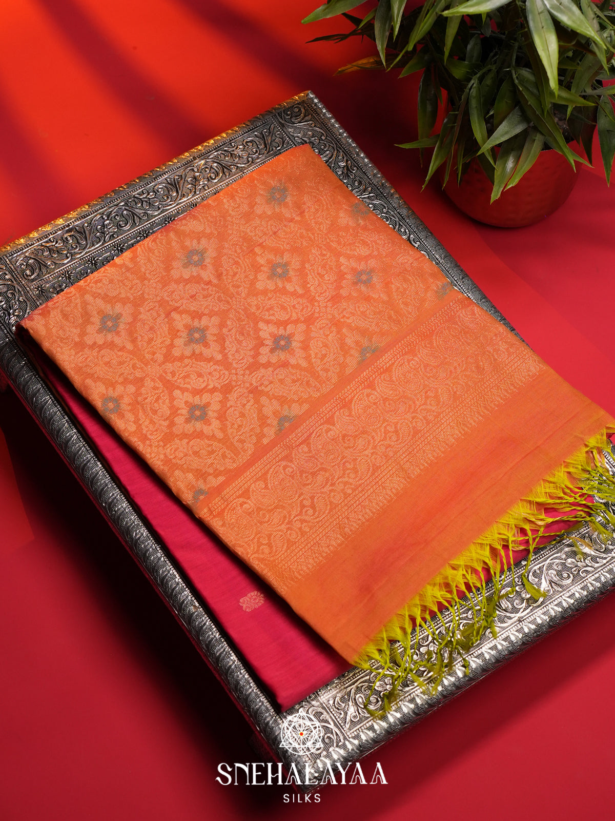 Ruby Red Kanchi Silk Cotton Saree