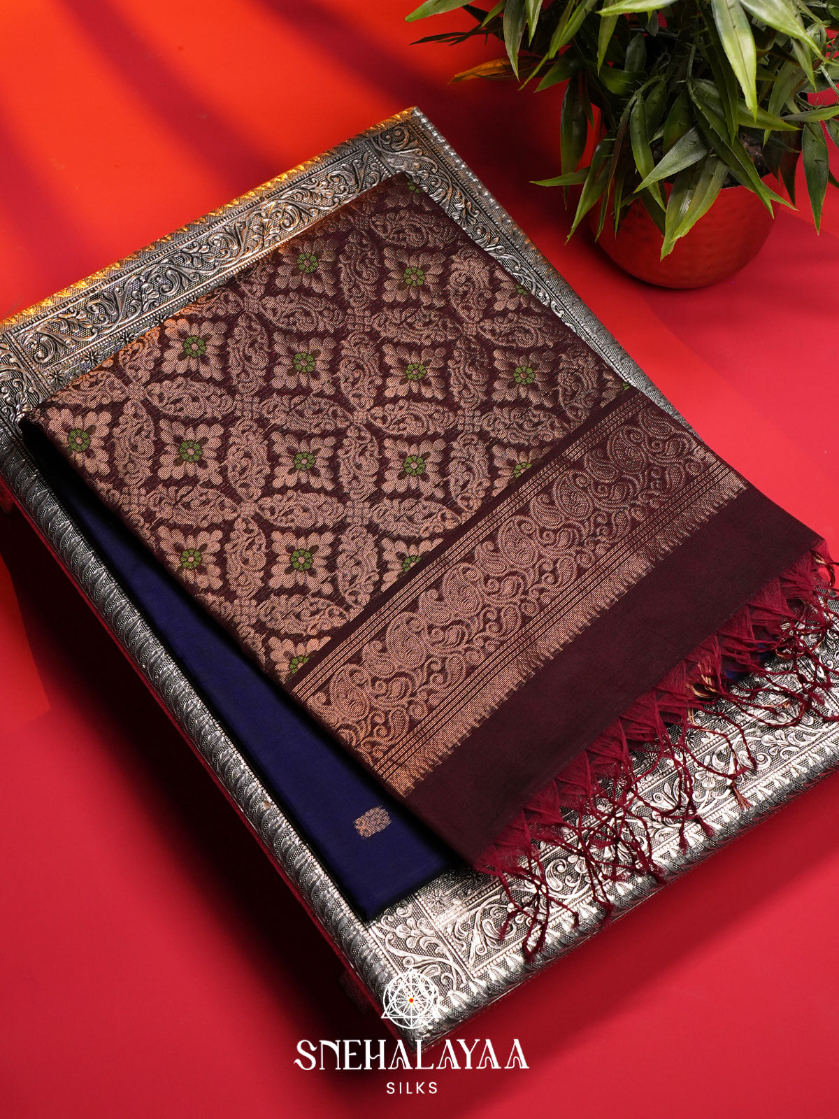 Purple Kanchi Silk Cotton Saree
