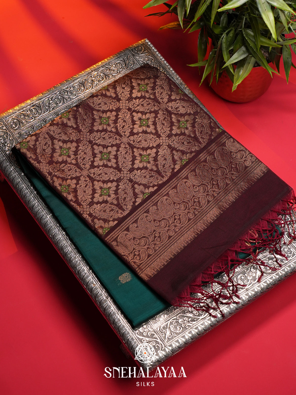 Green Kanchi Silk Cotton Saree