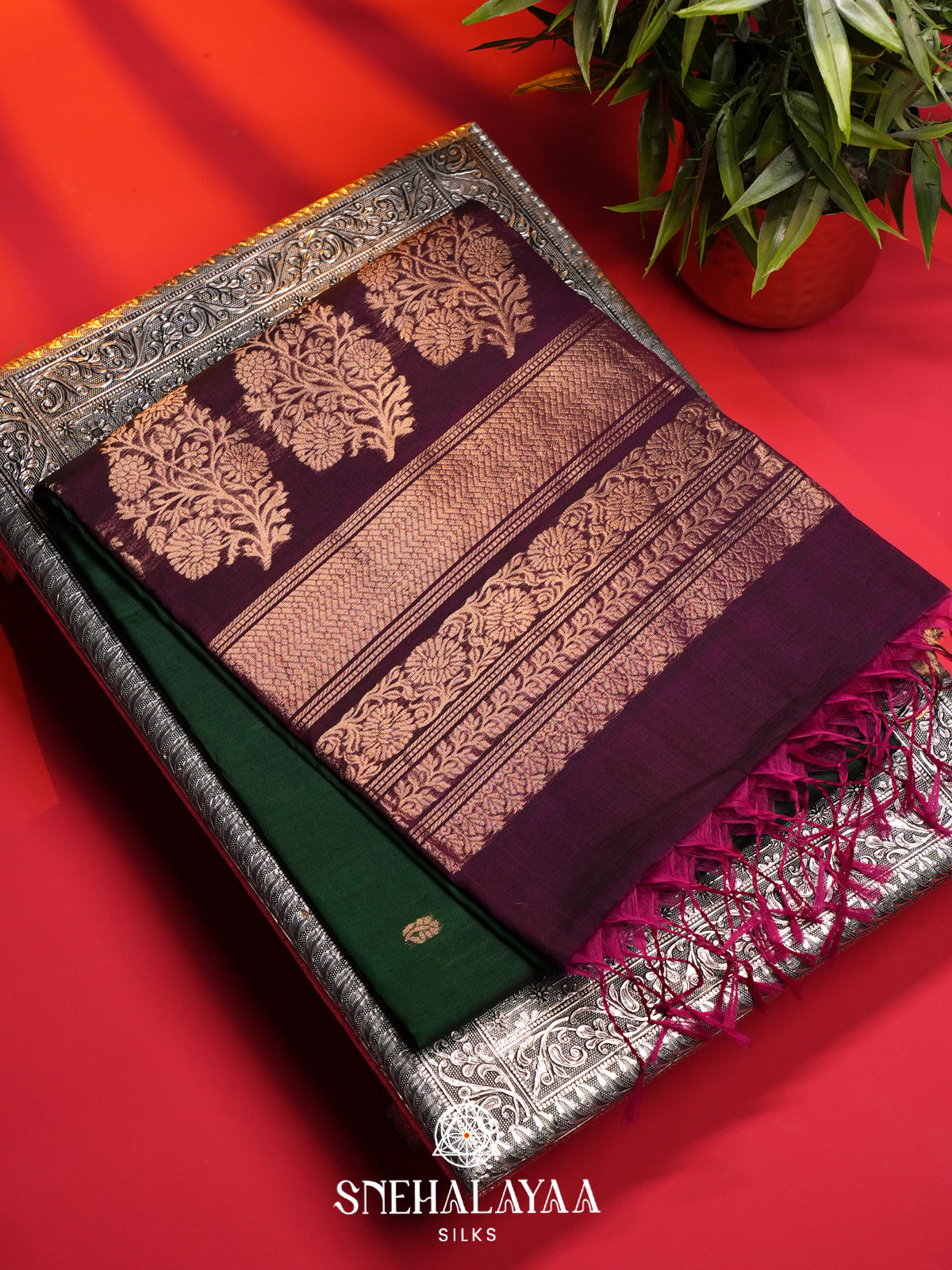 Forest Green Kanchi Silk Cotton Saree