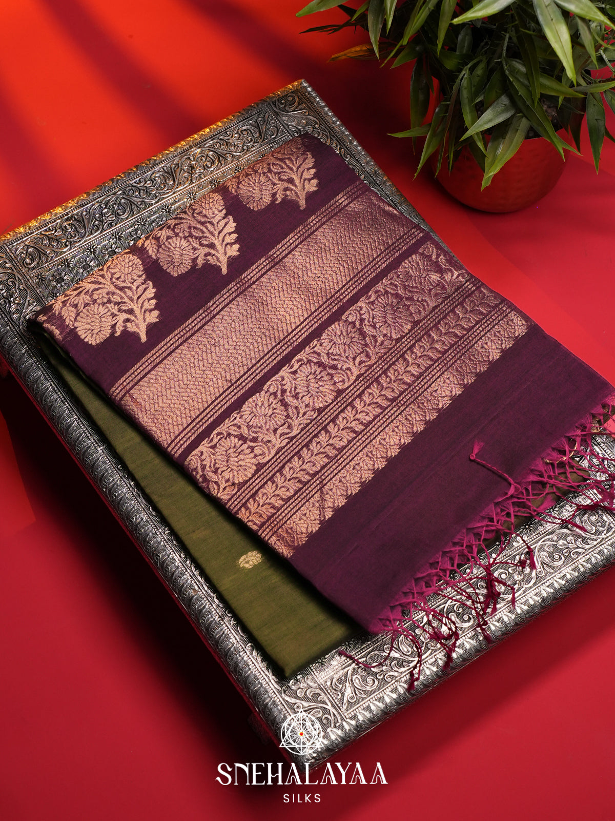 Olive Green Kanchi Silk Cotton Saree