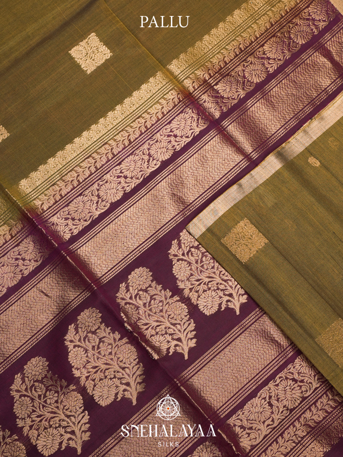 Olive Green Kanchi Silk Cotton Saree