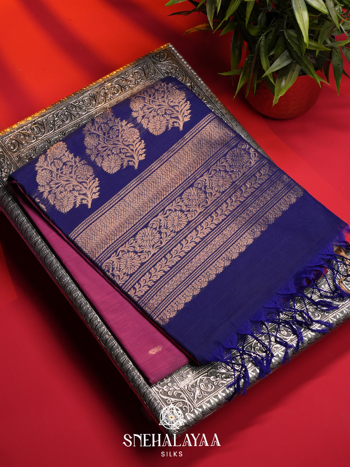 Pink Kanchi Silk Cotton Saree