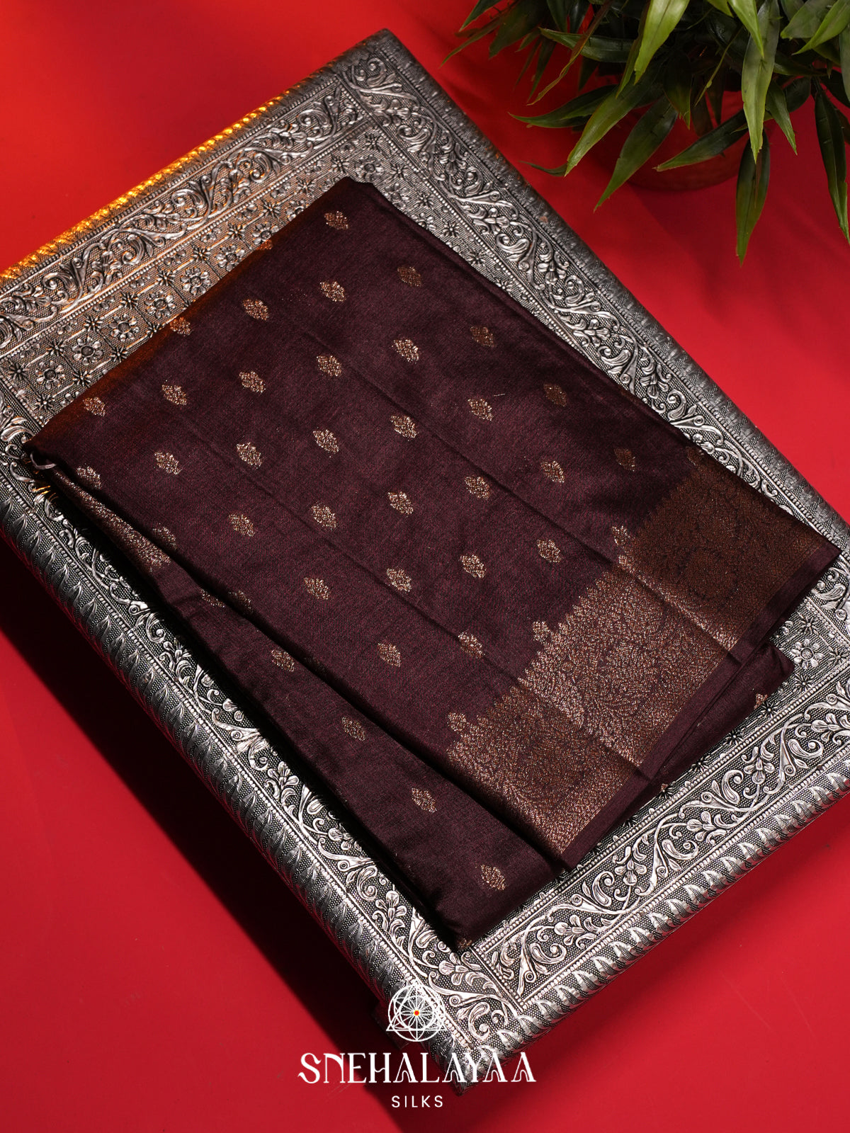 Coffee Brown Tussar Saree