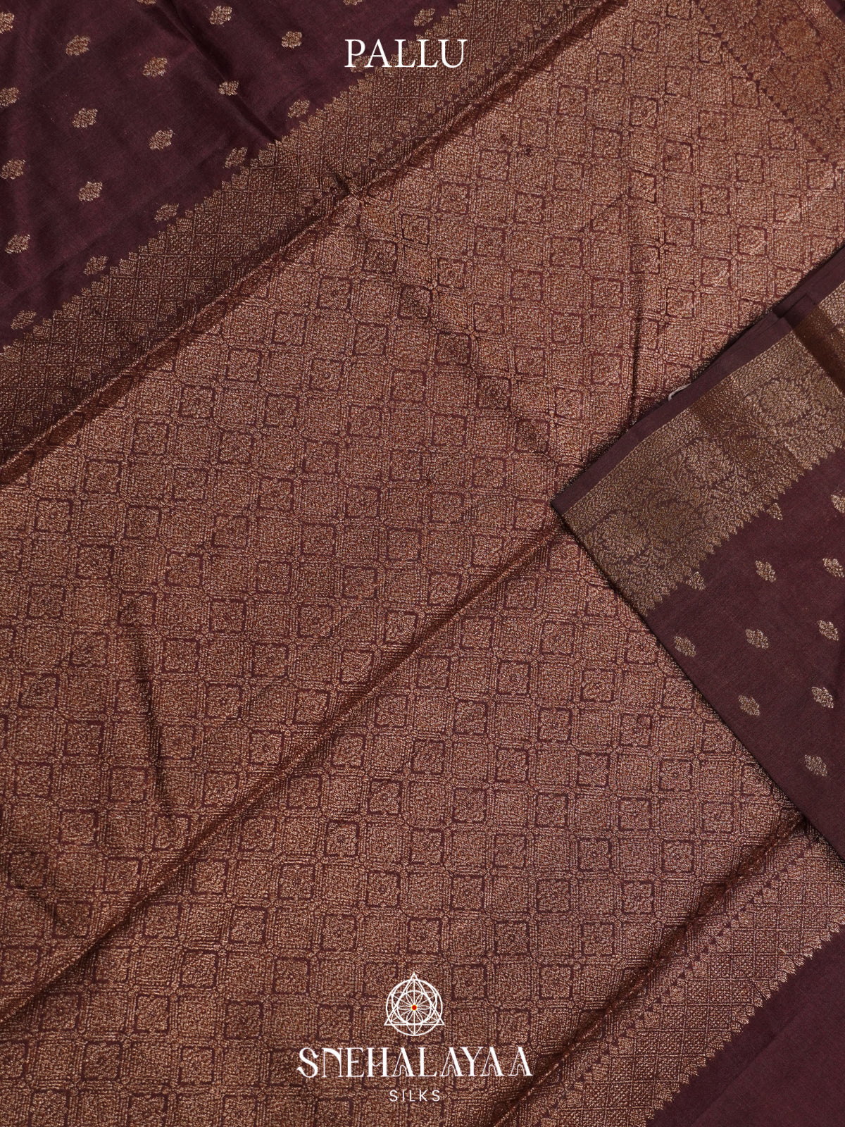 Coffee Brown Tussar Saree