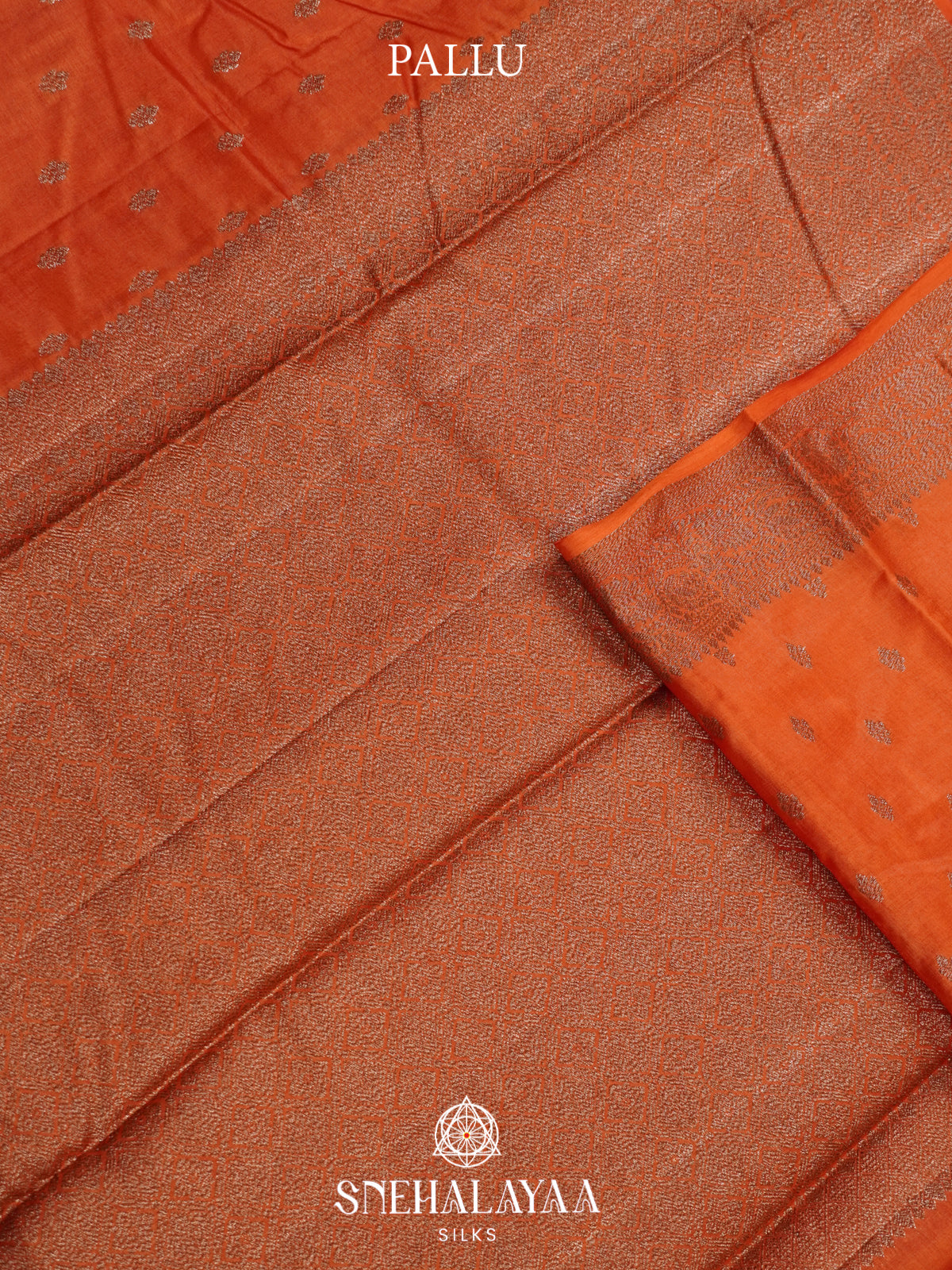Rust Orange Tussar Saree