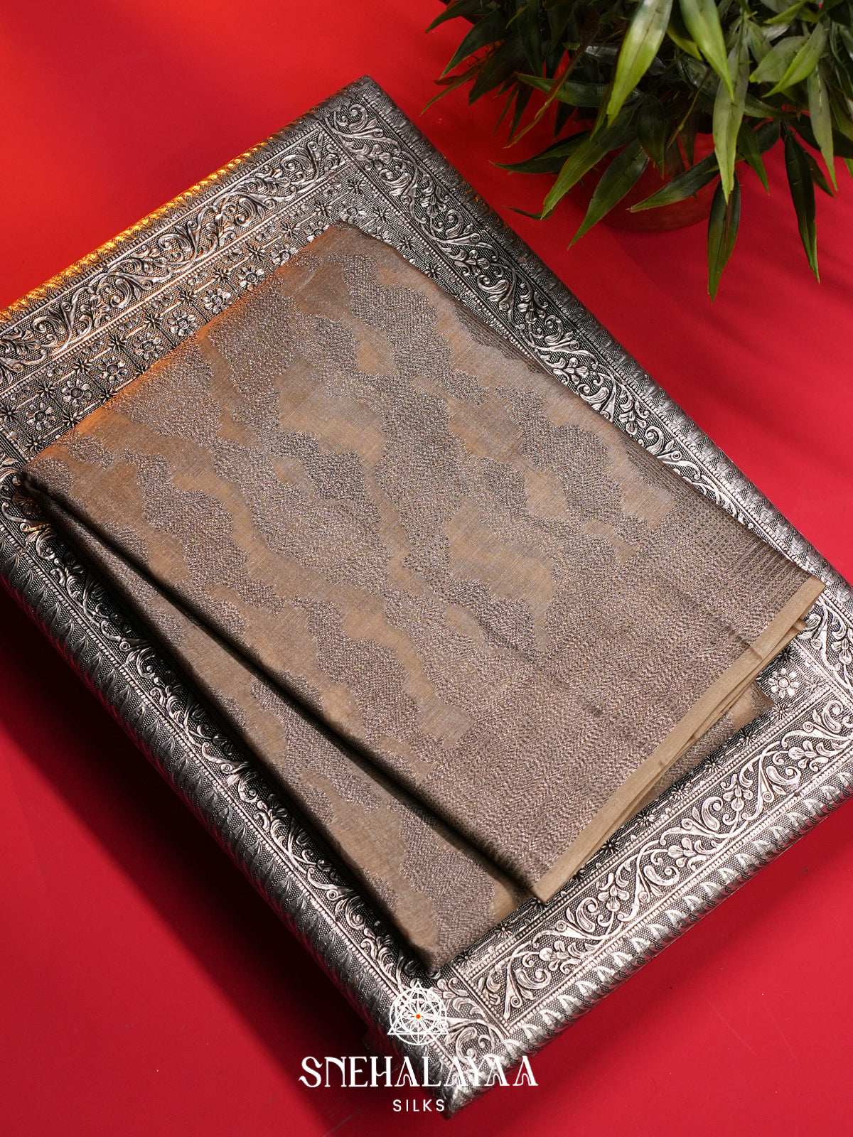 Beige Tussar Saree