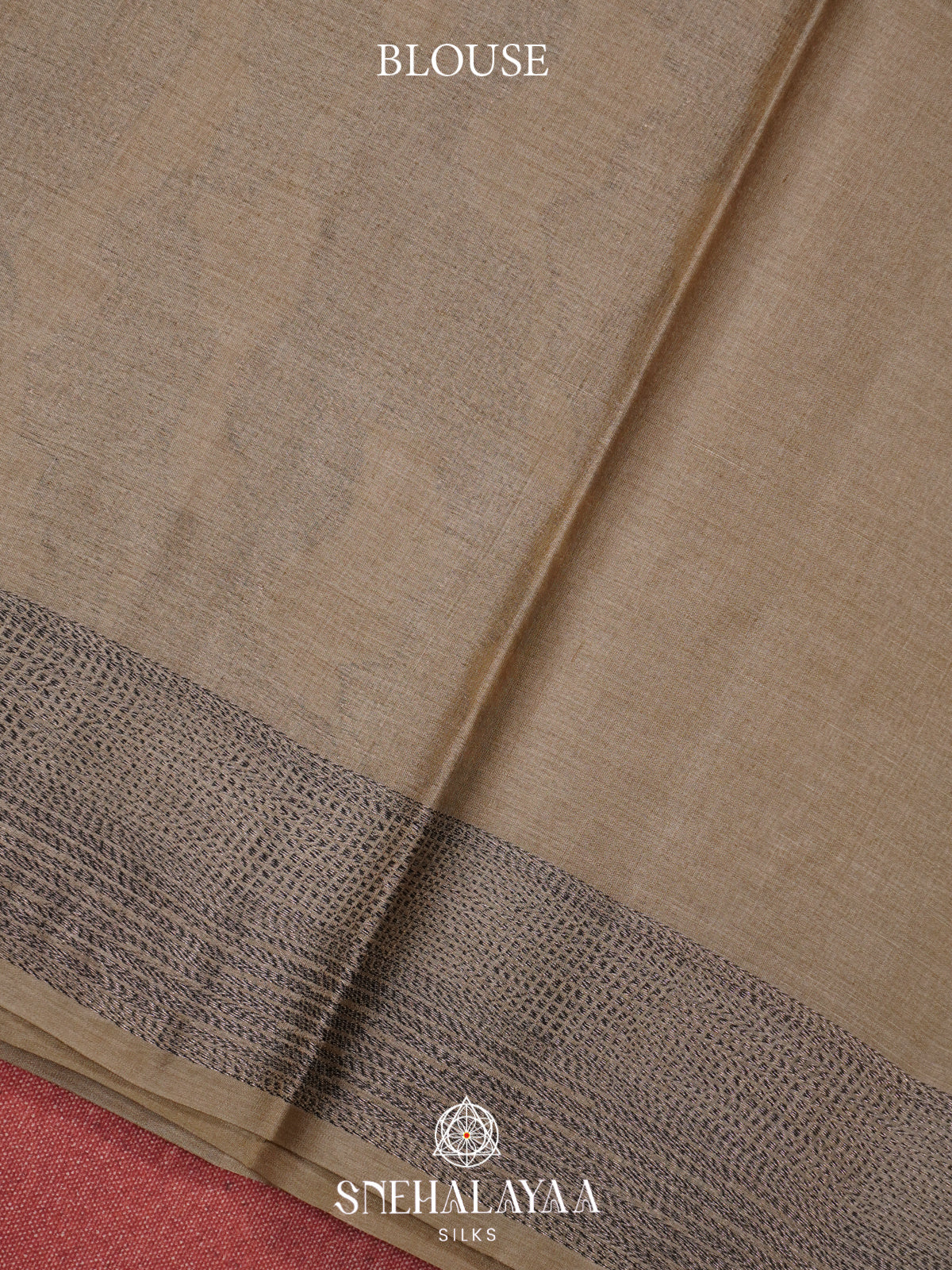 Beige Tussar Saree