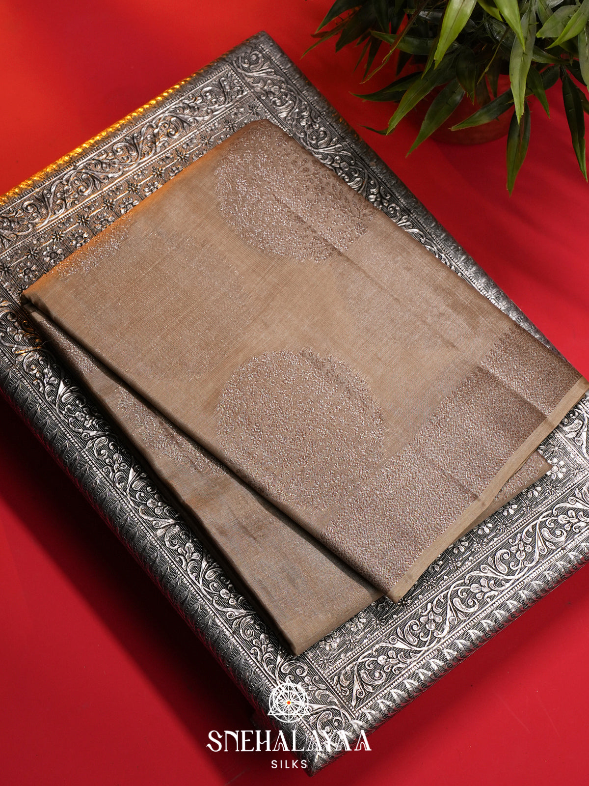 Beige Tussar Saree