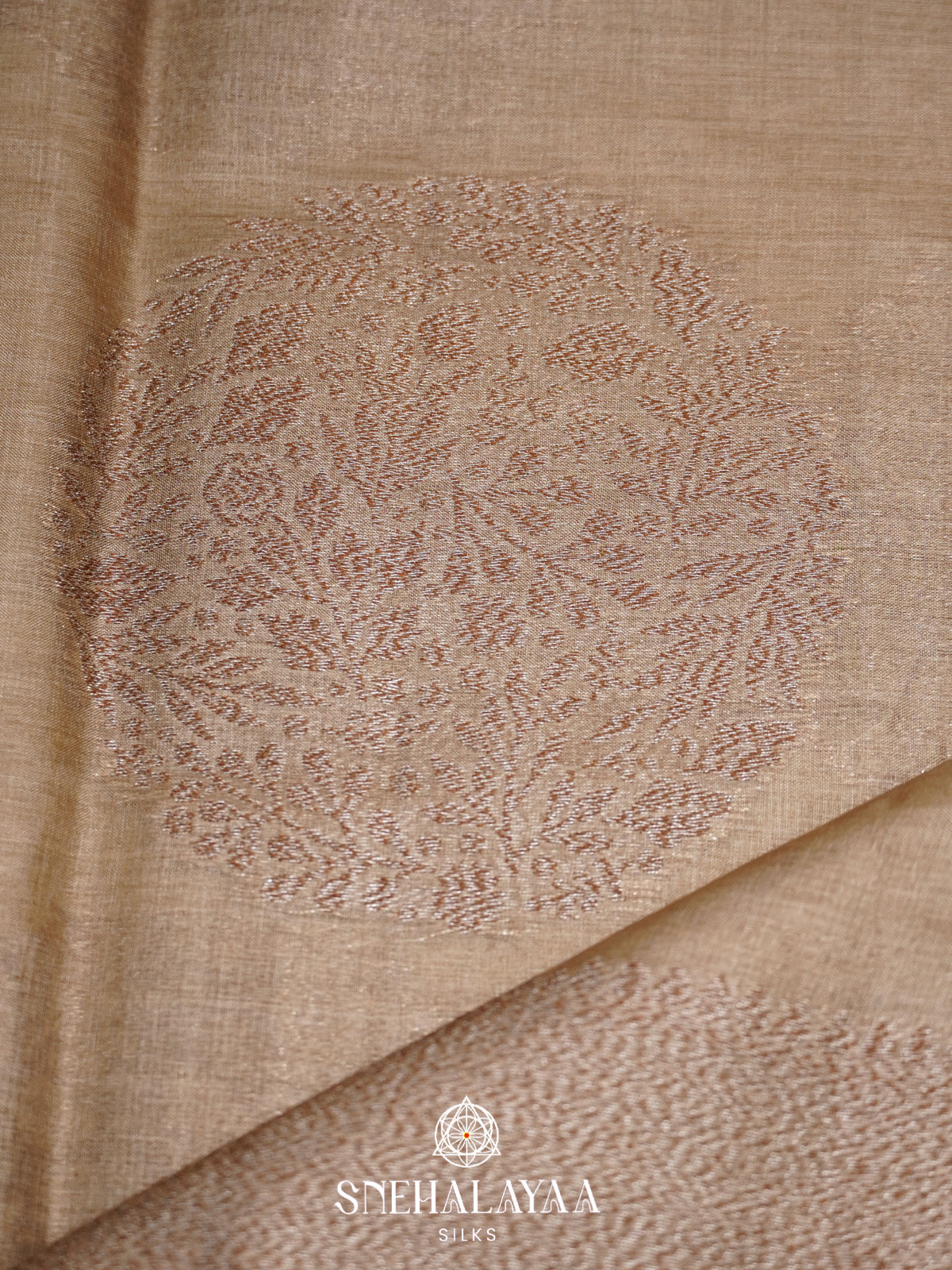 Beige Tussar Saree