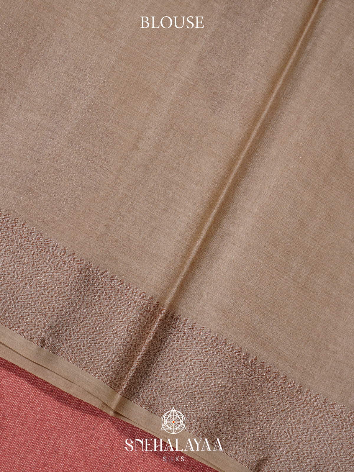 Beige Tussar Saree