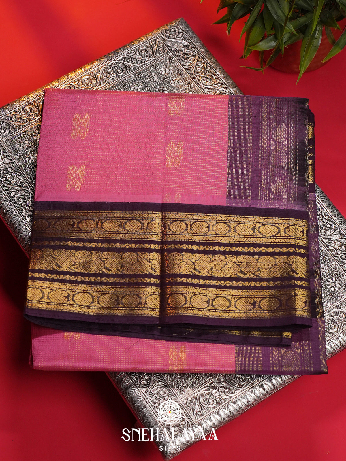 Pink Kanchi Silk Cotton Saree
