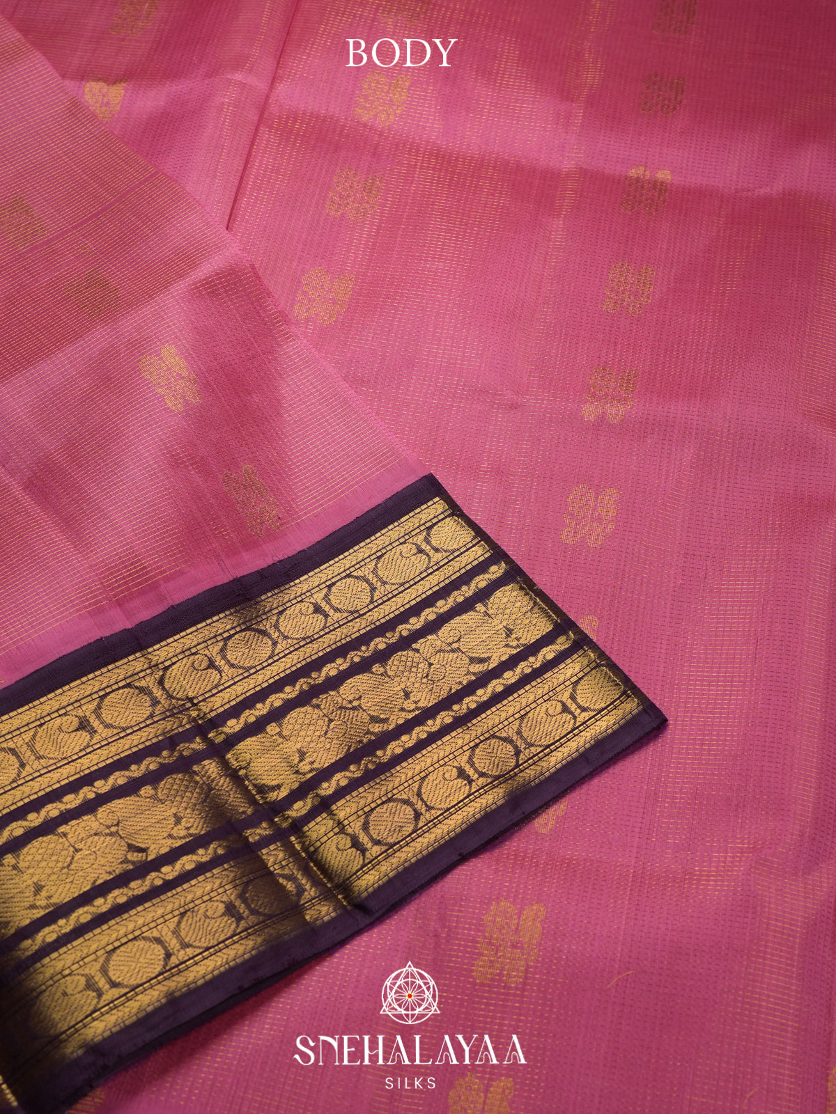 Pink Kanchi Silk Cotton Saree