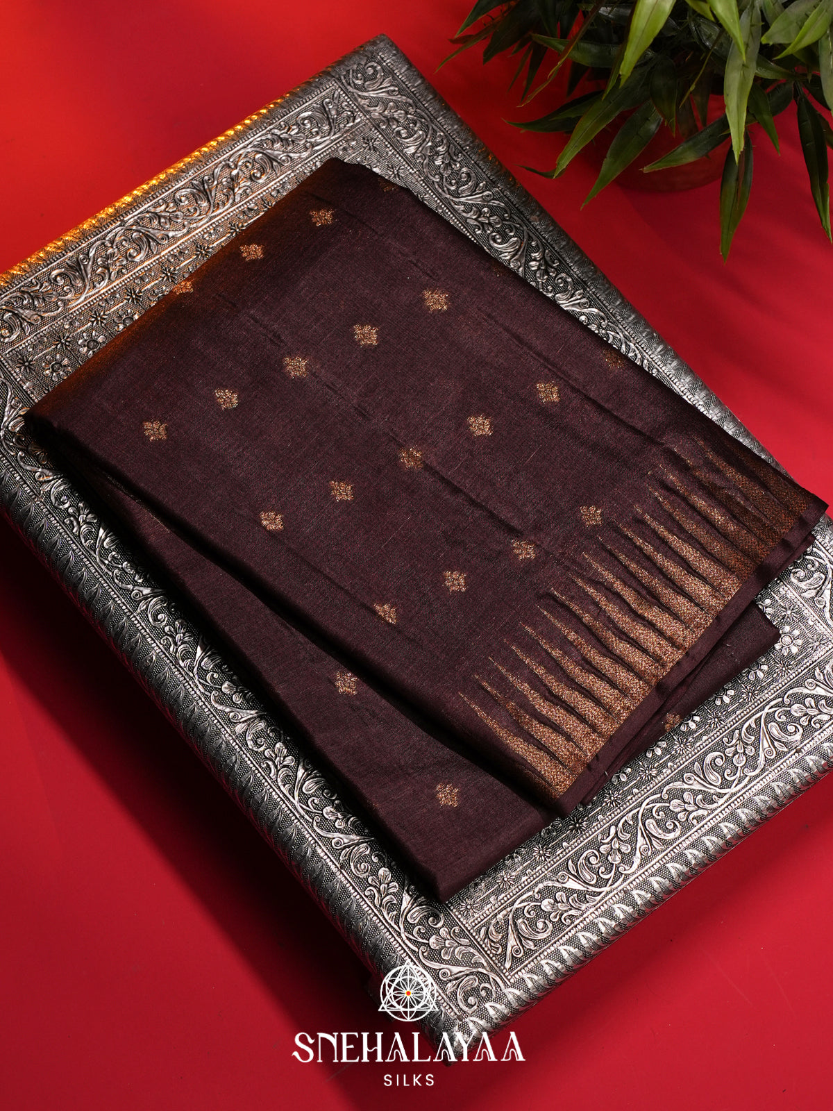 Coffee Brown Tussar Saree