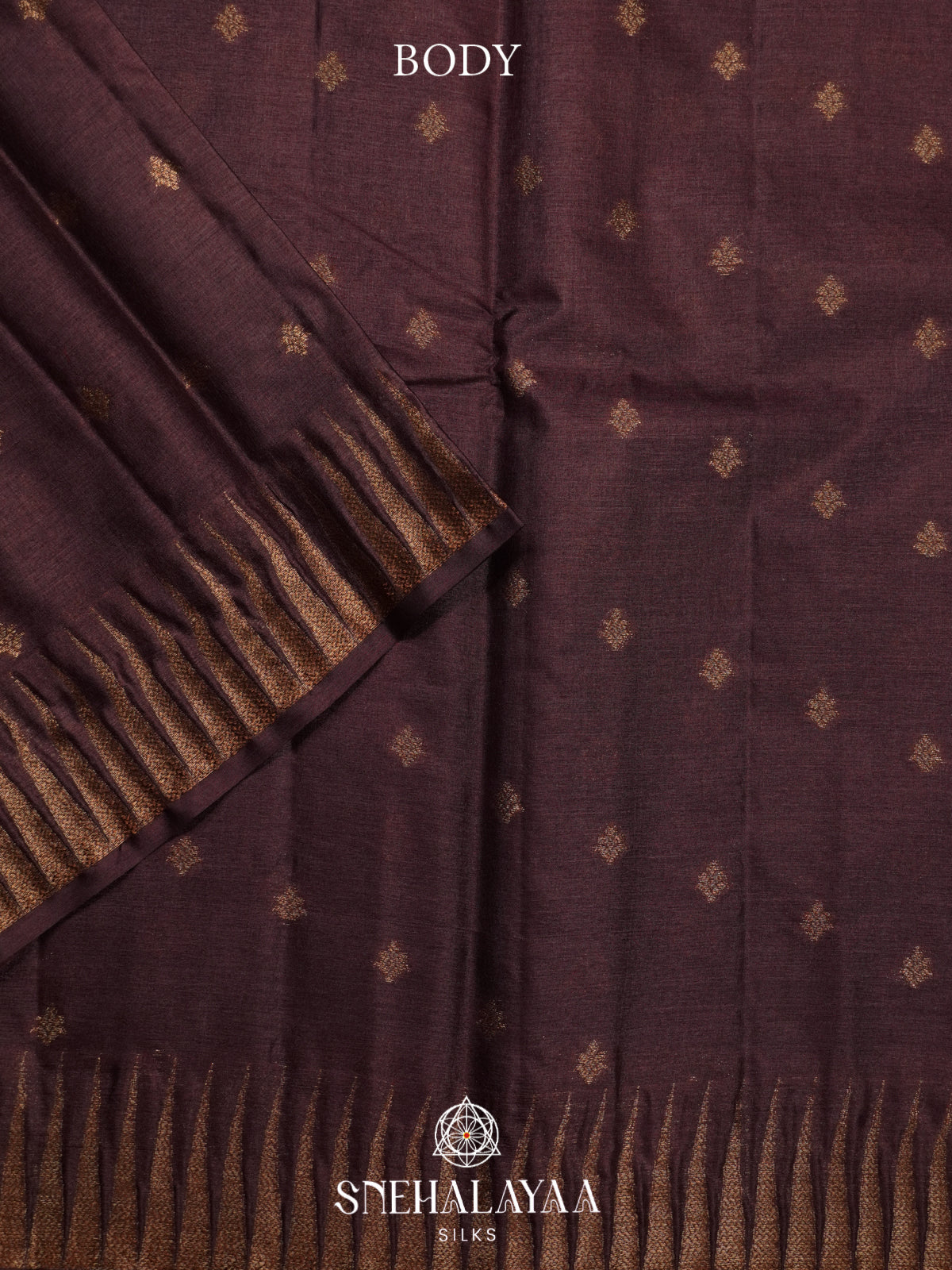 Coffee Brown Tussar Saree