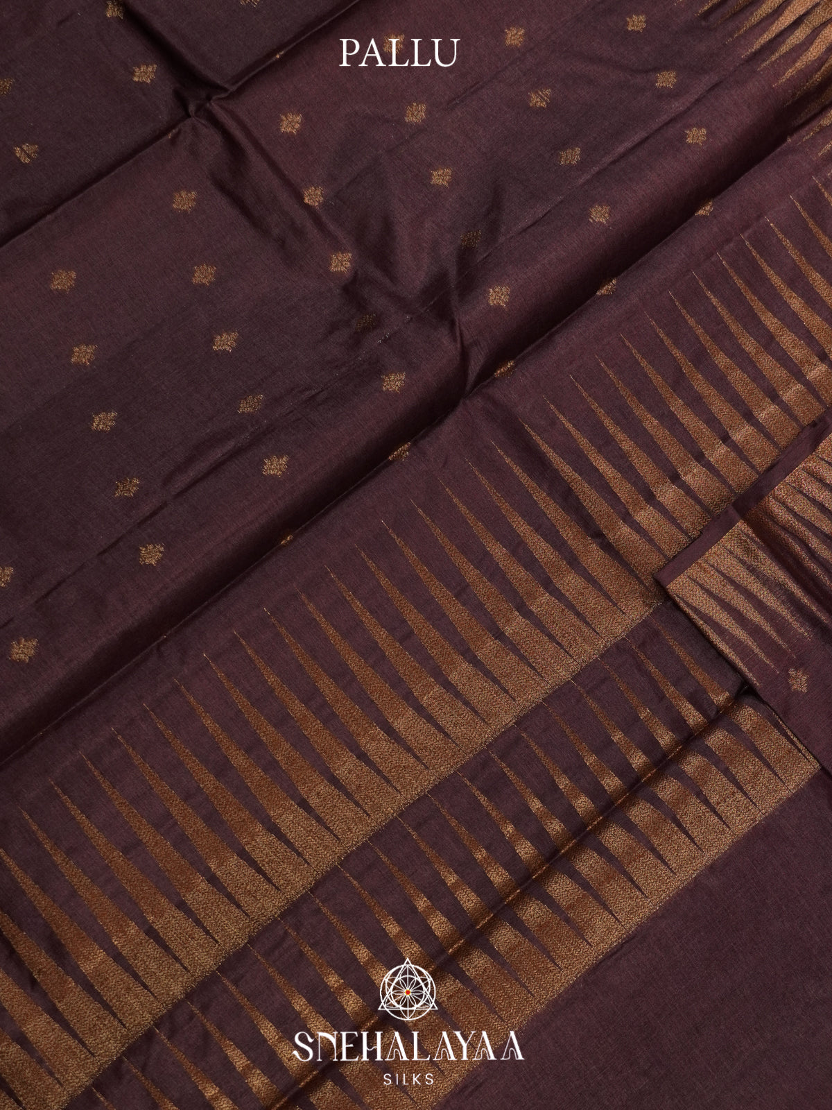 Coffee Brown Tussar Saree