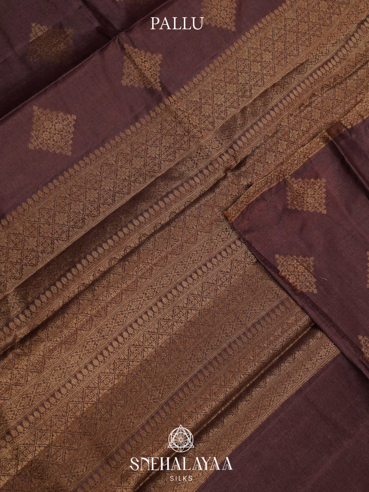Brown Tussar Saree