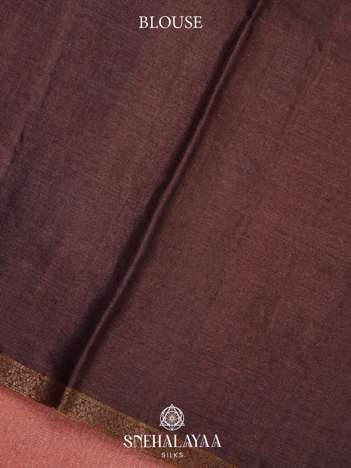 Brown Tussar Saree