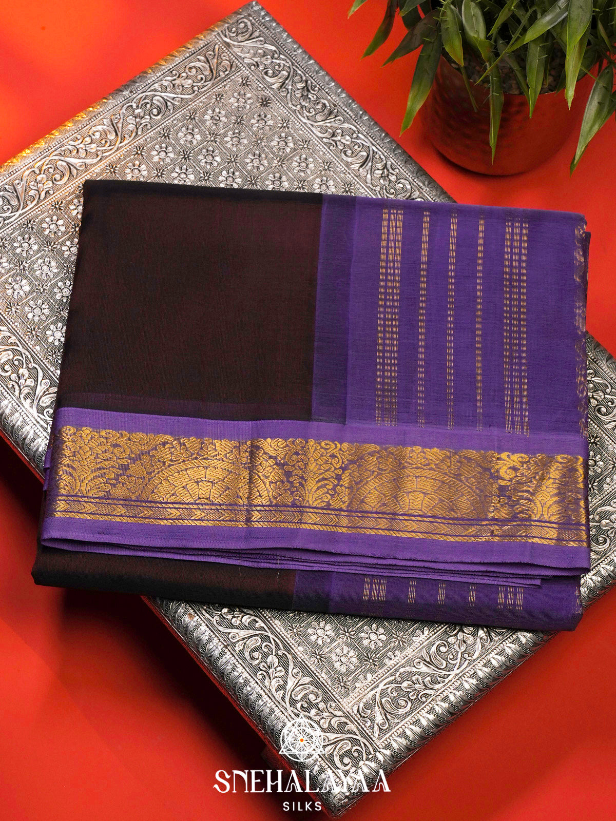 Coffee Brown Kanchi Silk Cotton Saree