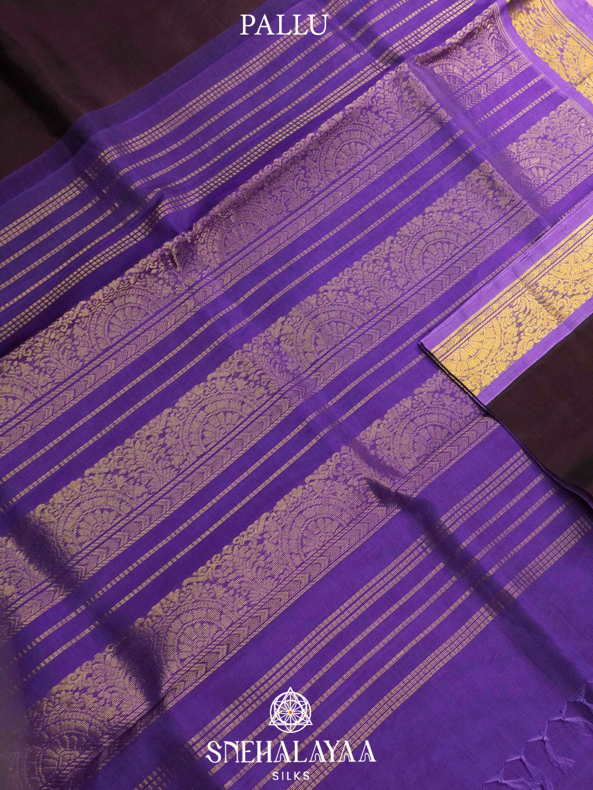 Coffee Brown Kanchi Silk Cotton Saree