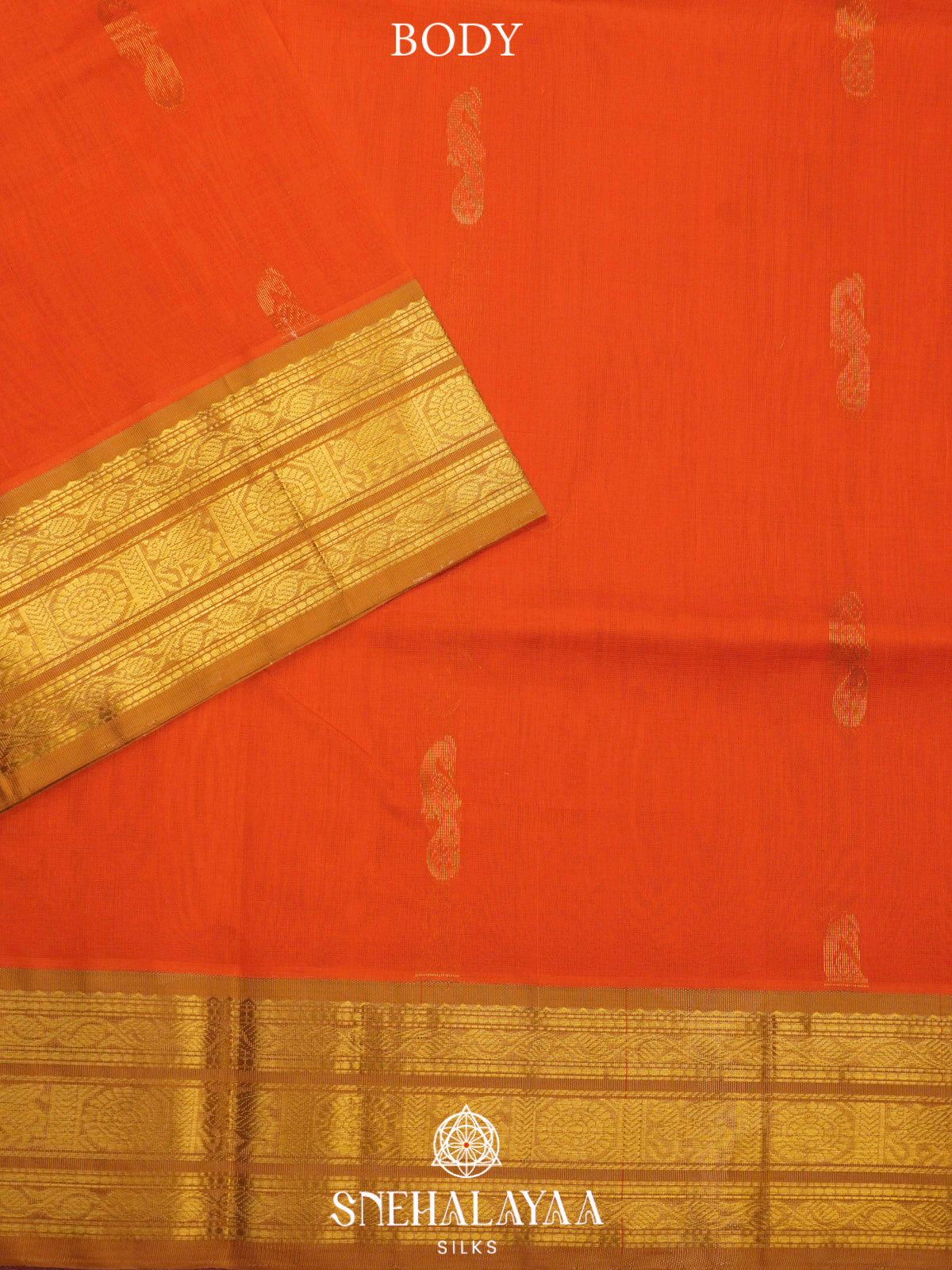 Orange Kanchi Silk Cotton Saree