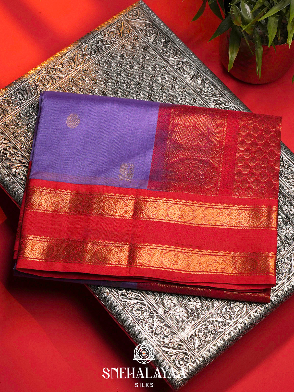 Lilac Kanchi Silk Cotton Saree