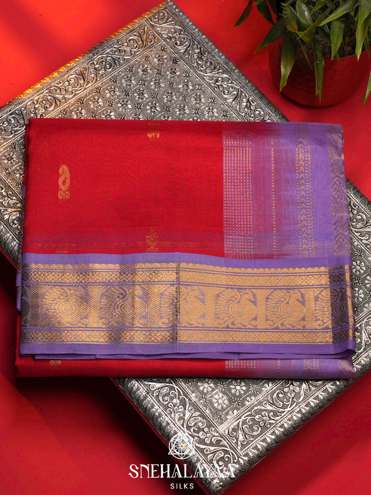 Red Kanchi Silk Cotton Saree