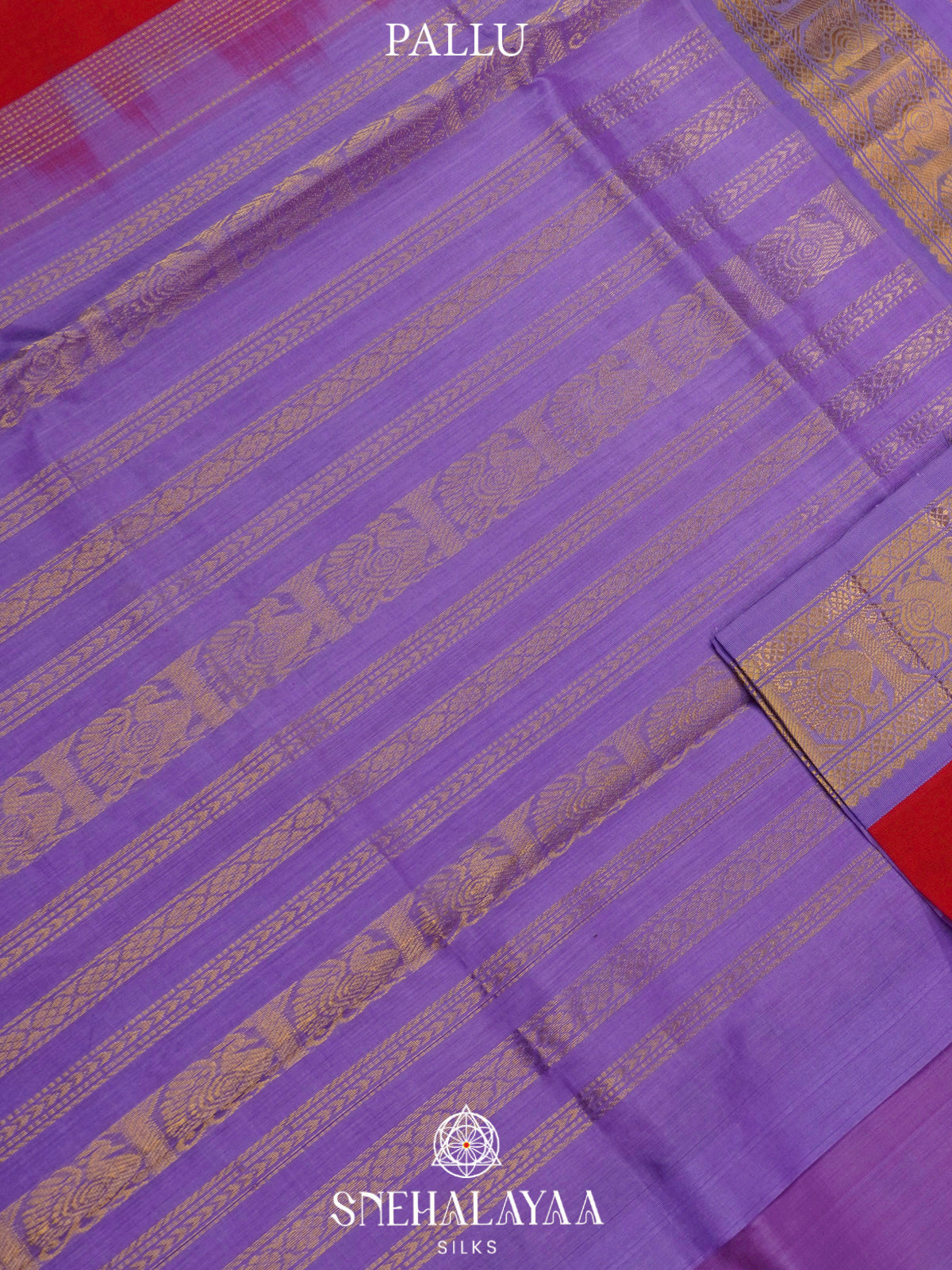 Red Kanchi Silk Cotton Saree