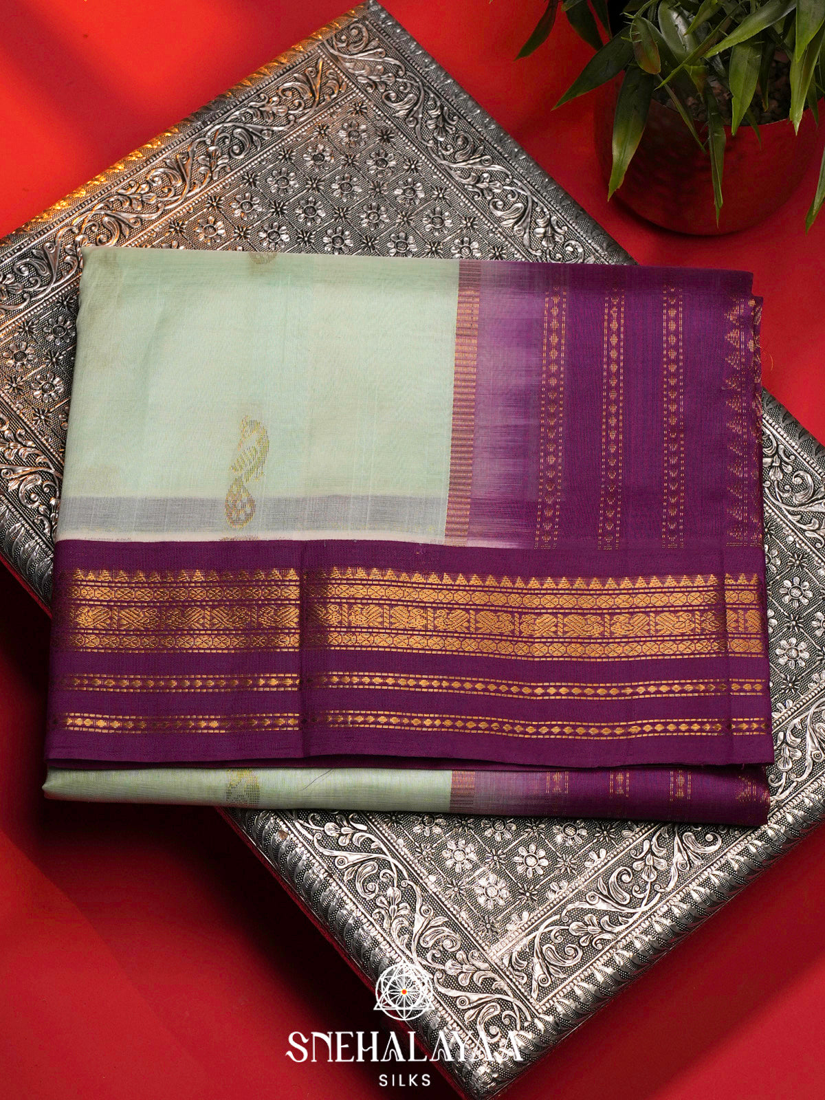 Mint Green Kanchi Silk Cotton Saree