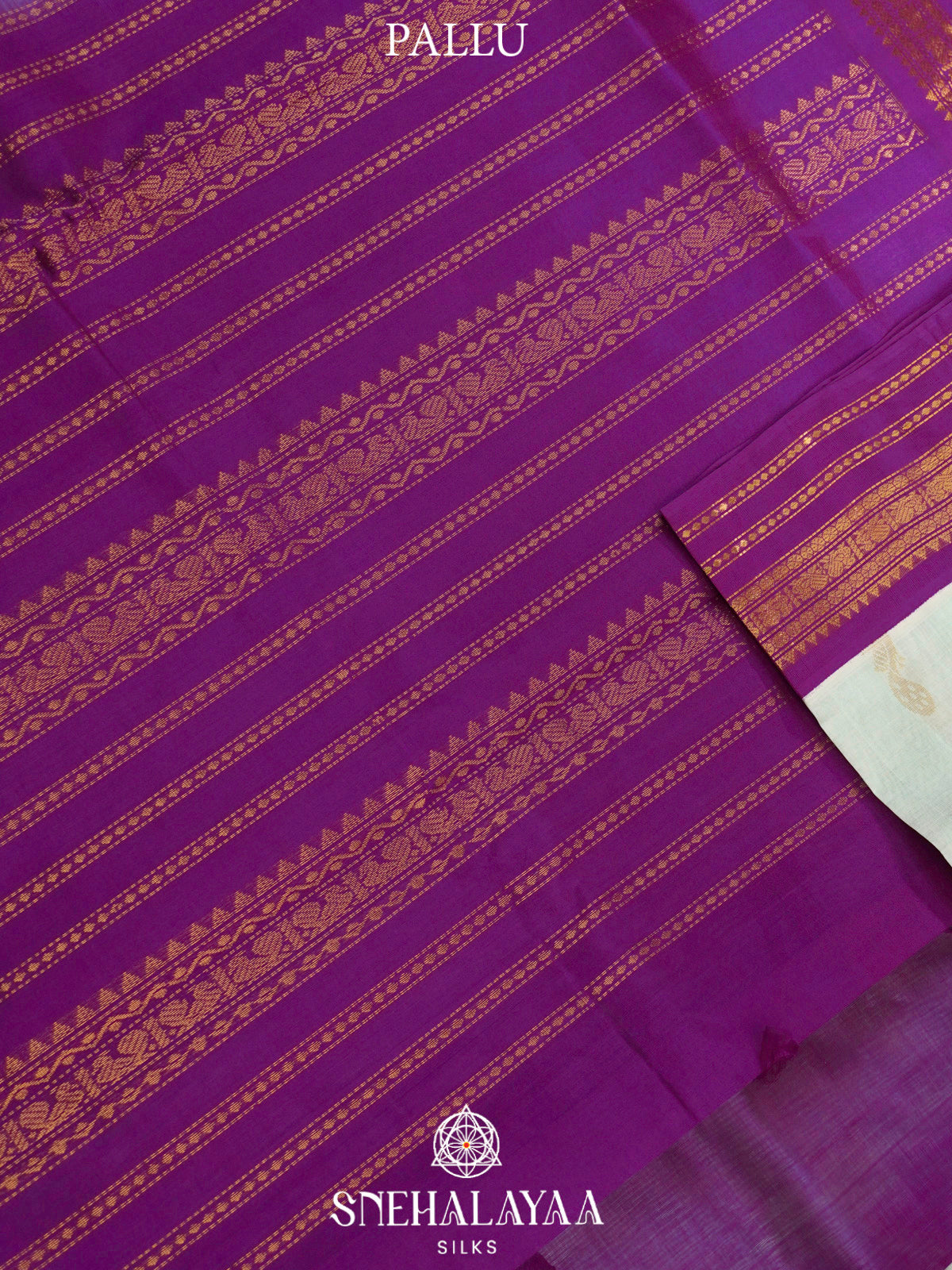Mint Green Kanchi Silk Cotton Saree