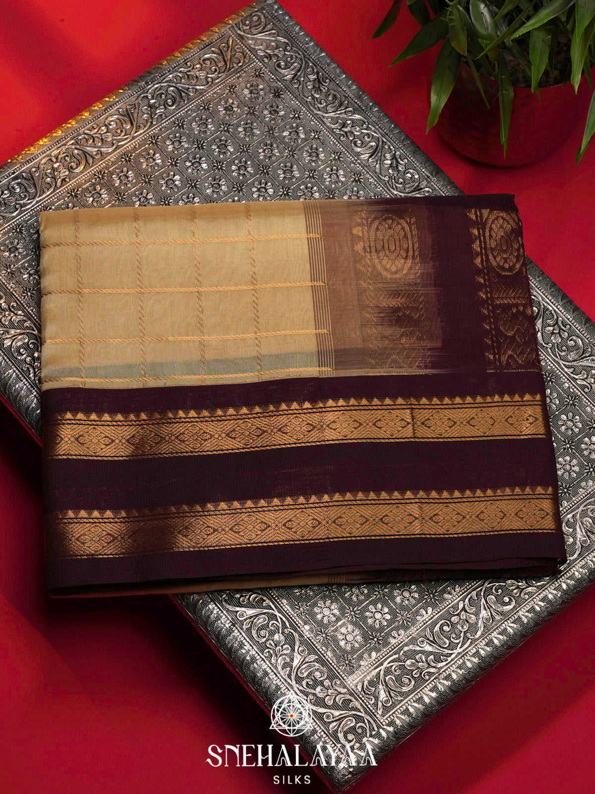 Beige Gold Kanchi Silk Cotton Saree