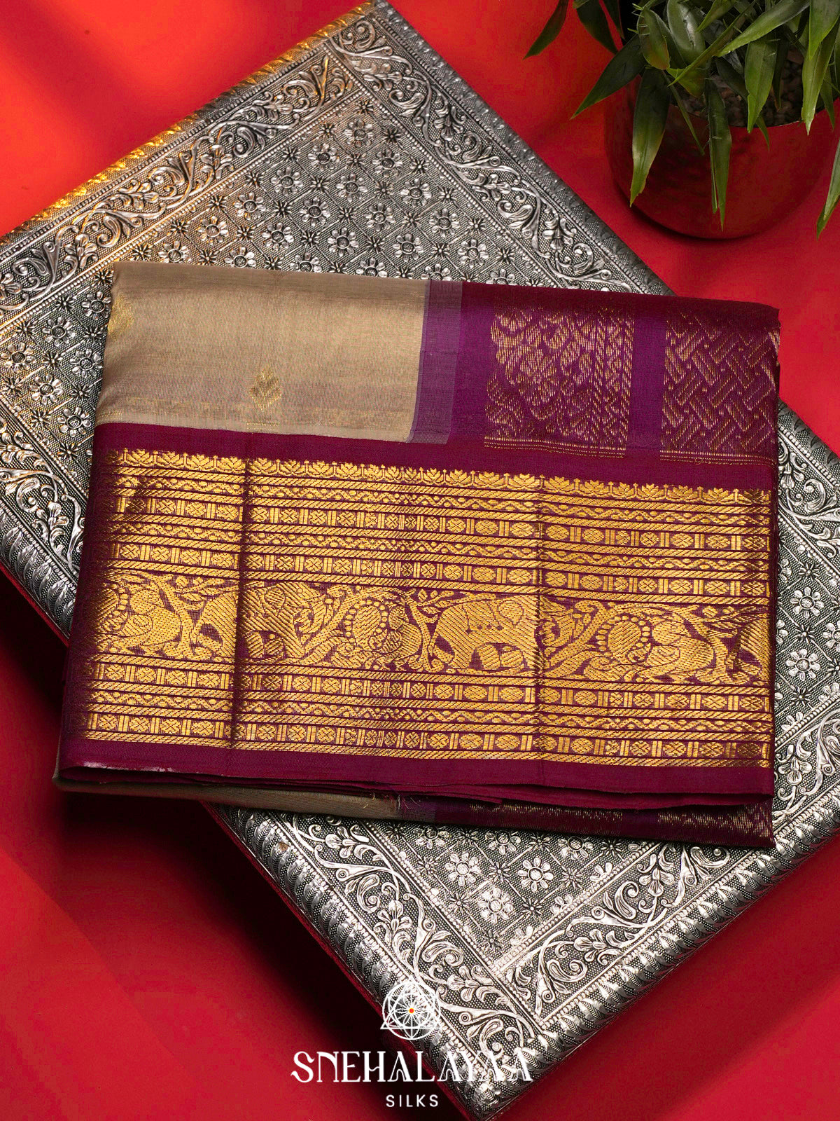 Beige Kanchi Silk Cotton Saree