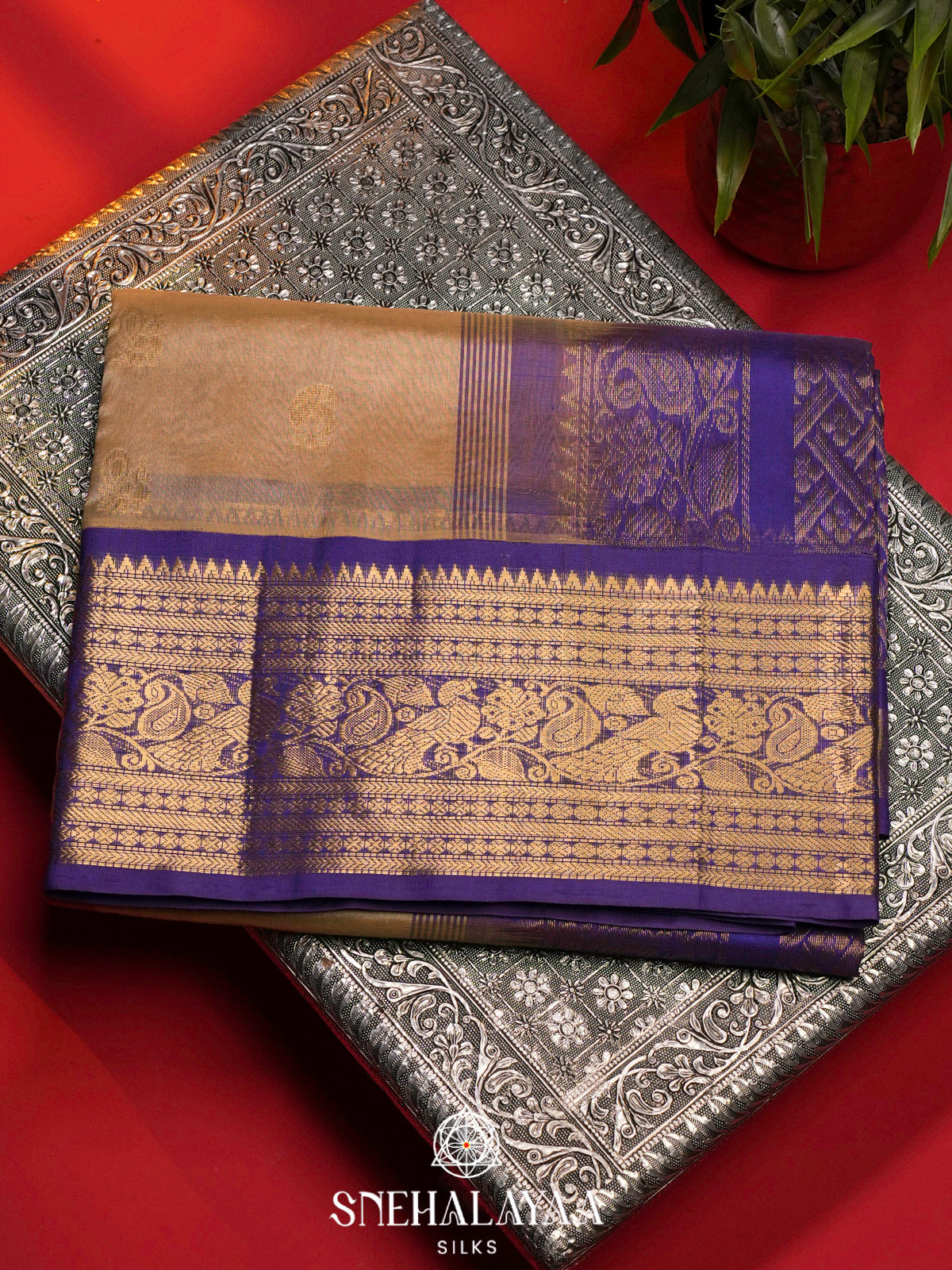 Beige Gold Kanchi Silk Cotton Saree