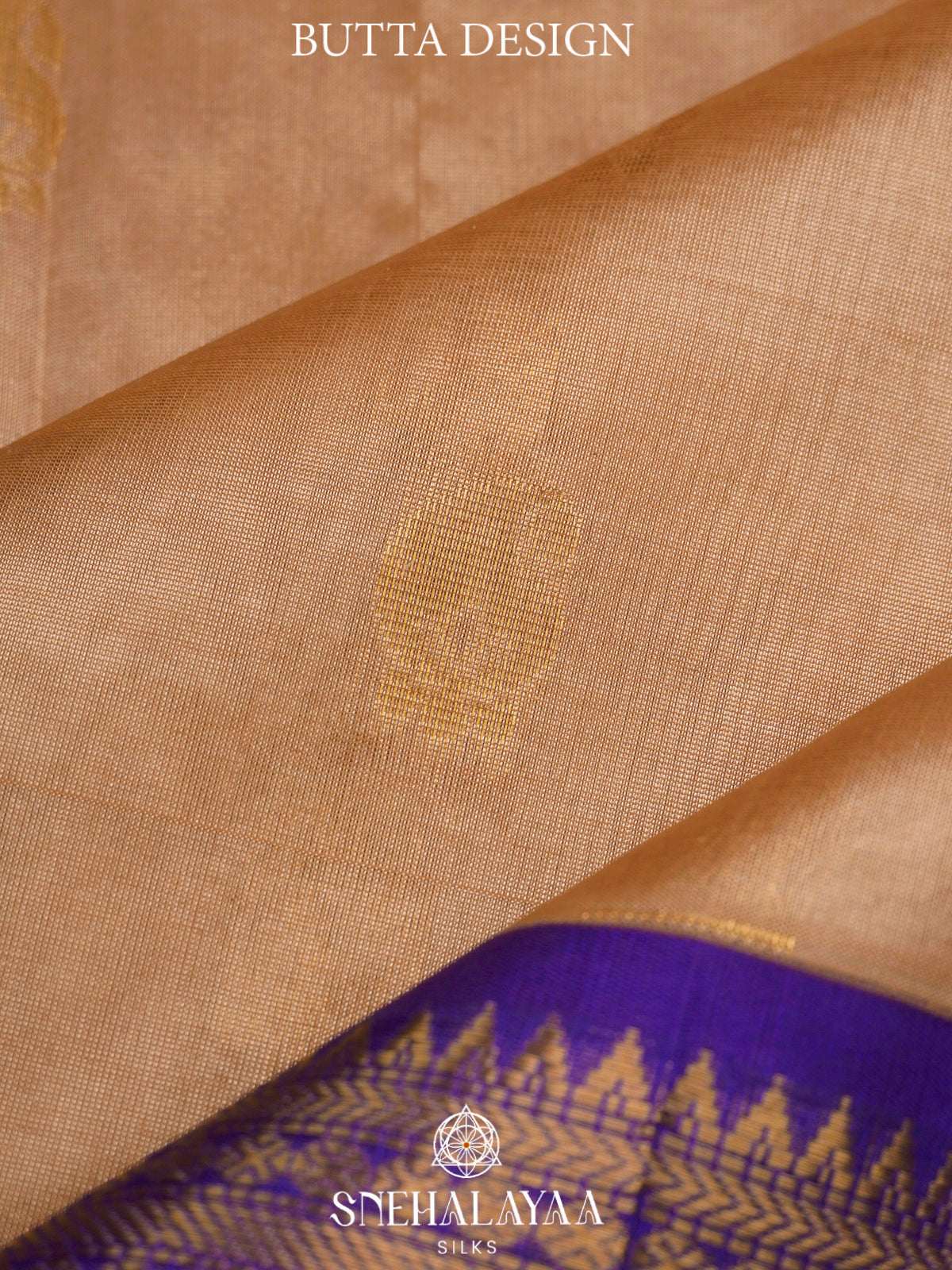 Beige Gold Kanchi Silk Cotton Saree