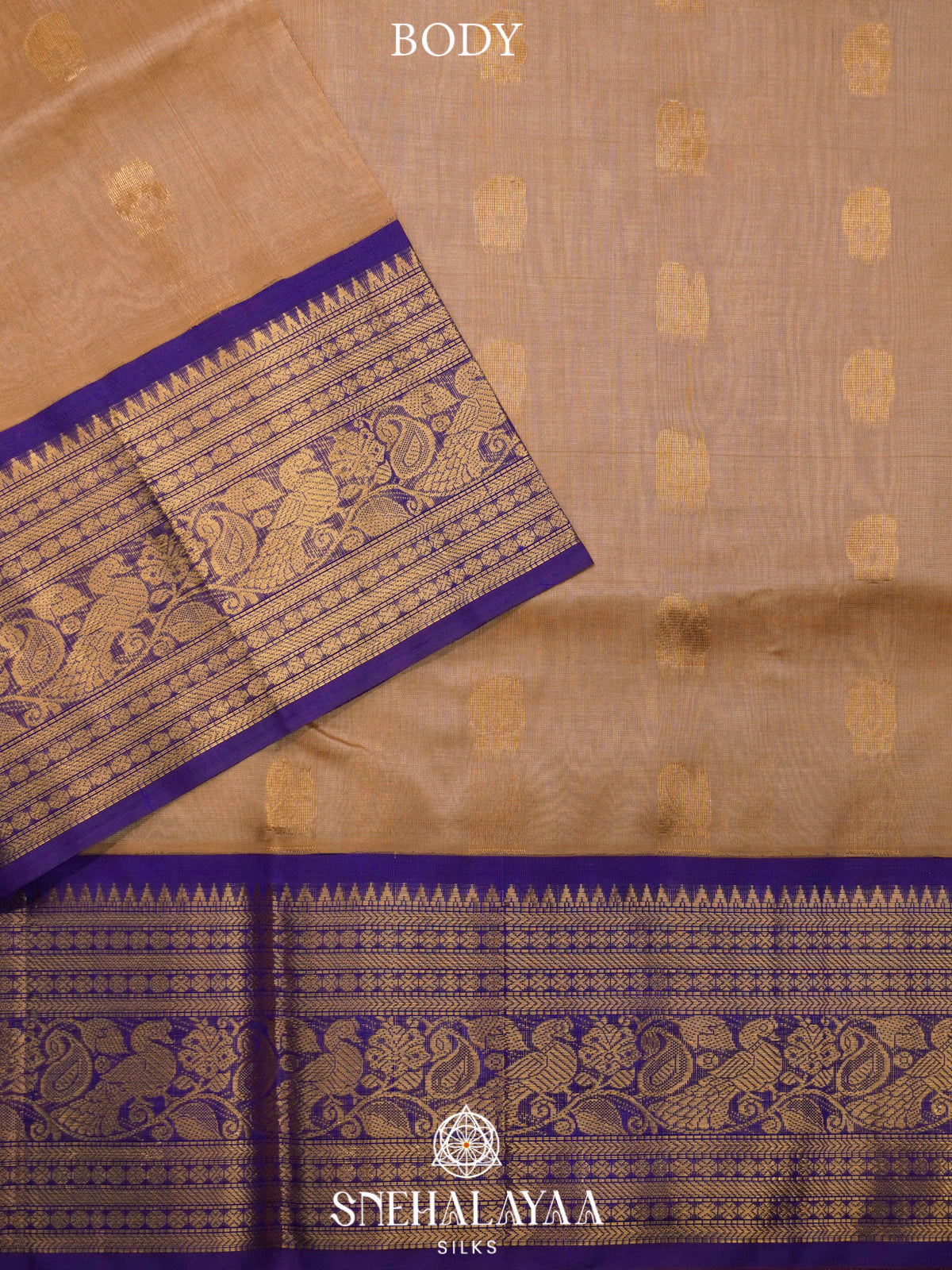Beige Gold Kanchi Silk Cotton Saree
