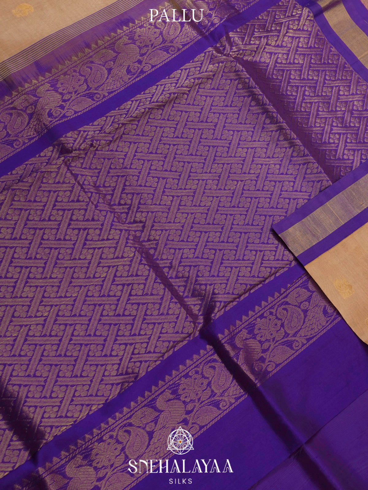 Beige Gold Kanchi Silk Cotton Saree