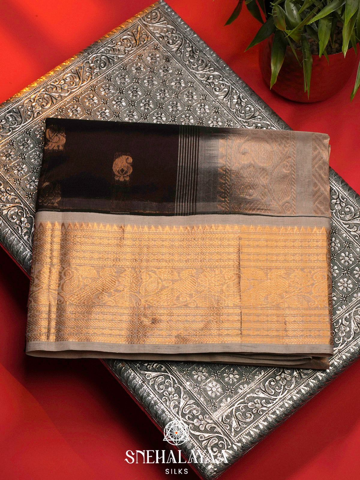 Coffee Brown Kanchi Silk Cotton Saree