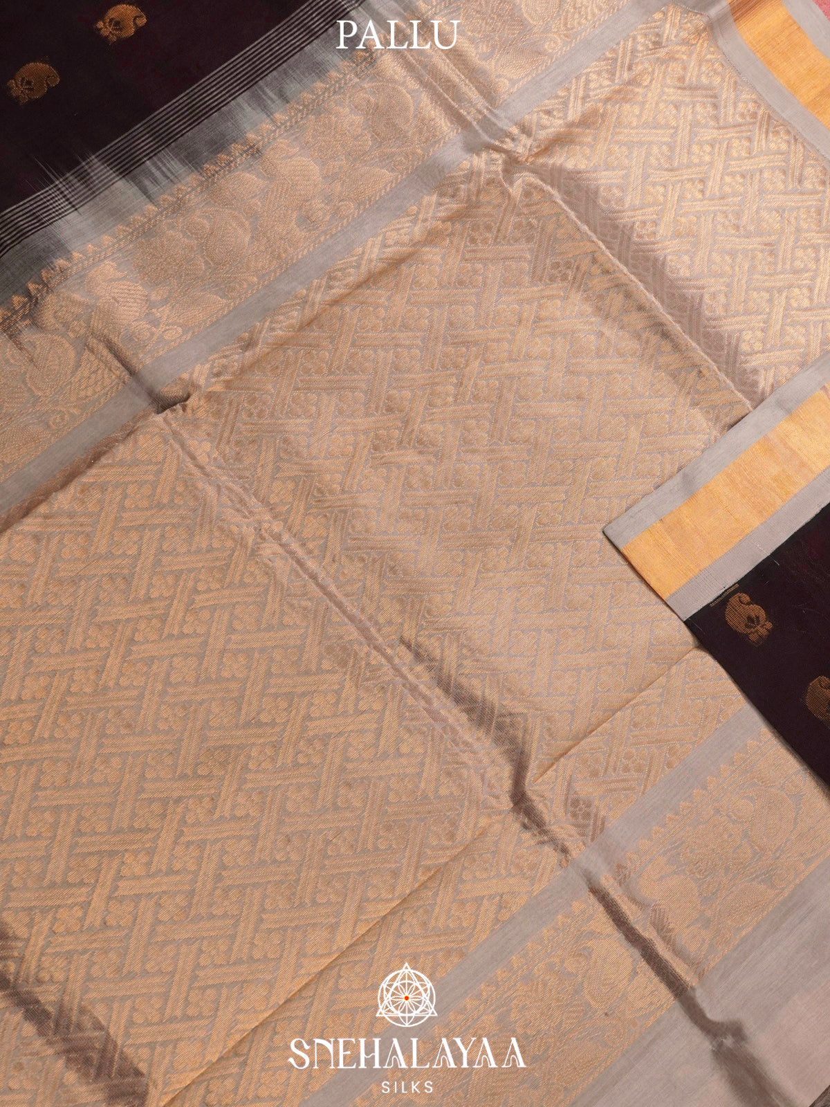 Coffee Brown Kanchi Silk Cotton Saree