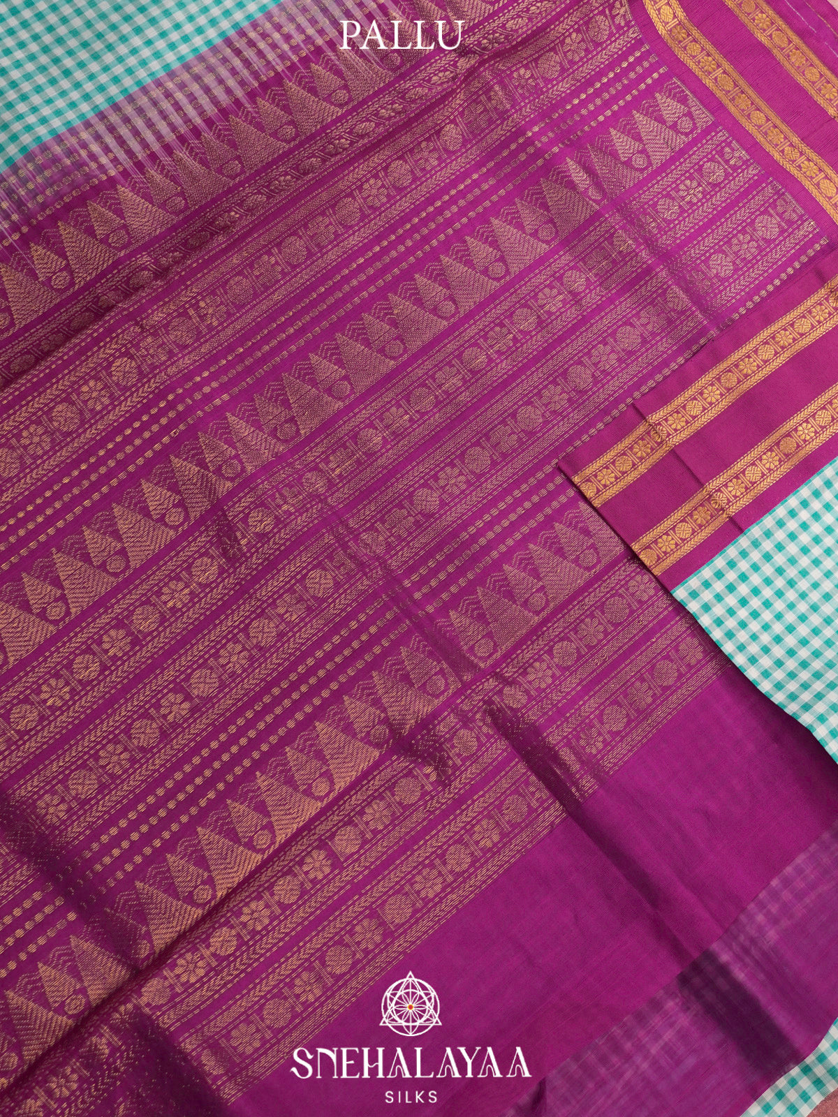 Teal Blue Checks Kanchi Silk Cotton Saree