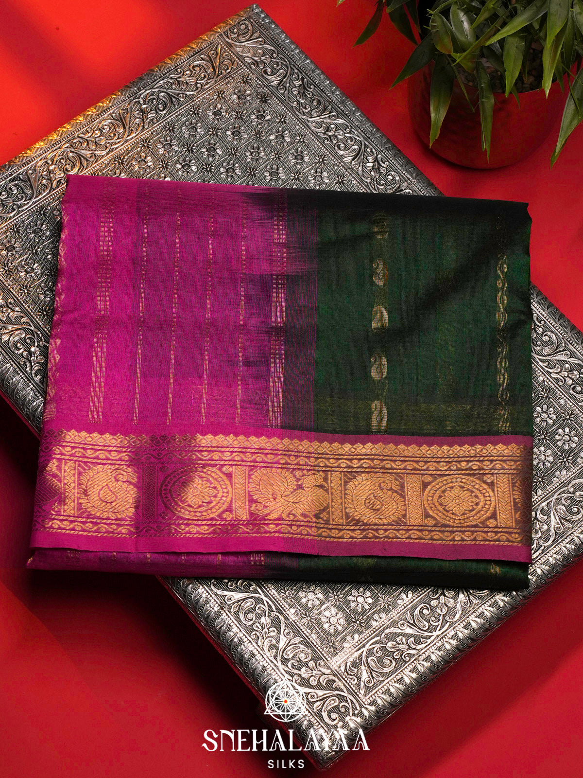 Forest Green Kanchi Silk Cotton Saree