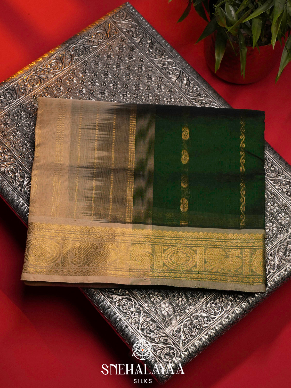 Forest Green Kanchi Silk Cotton Saree