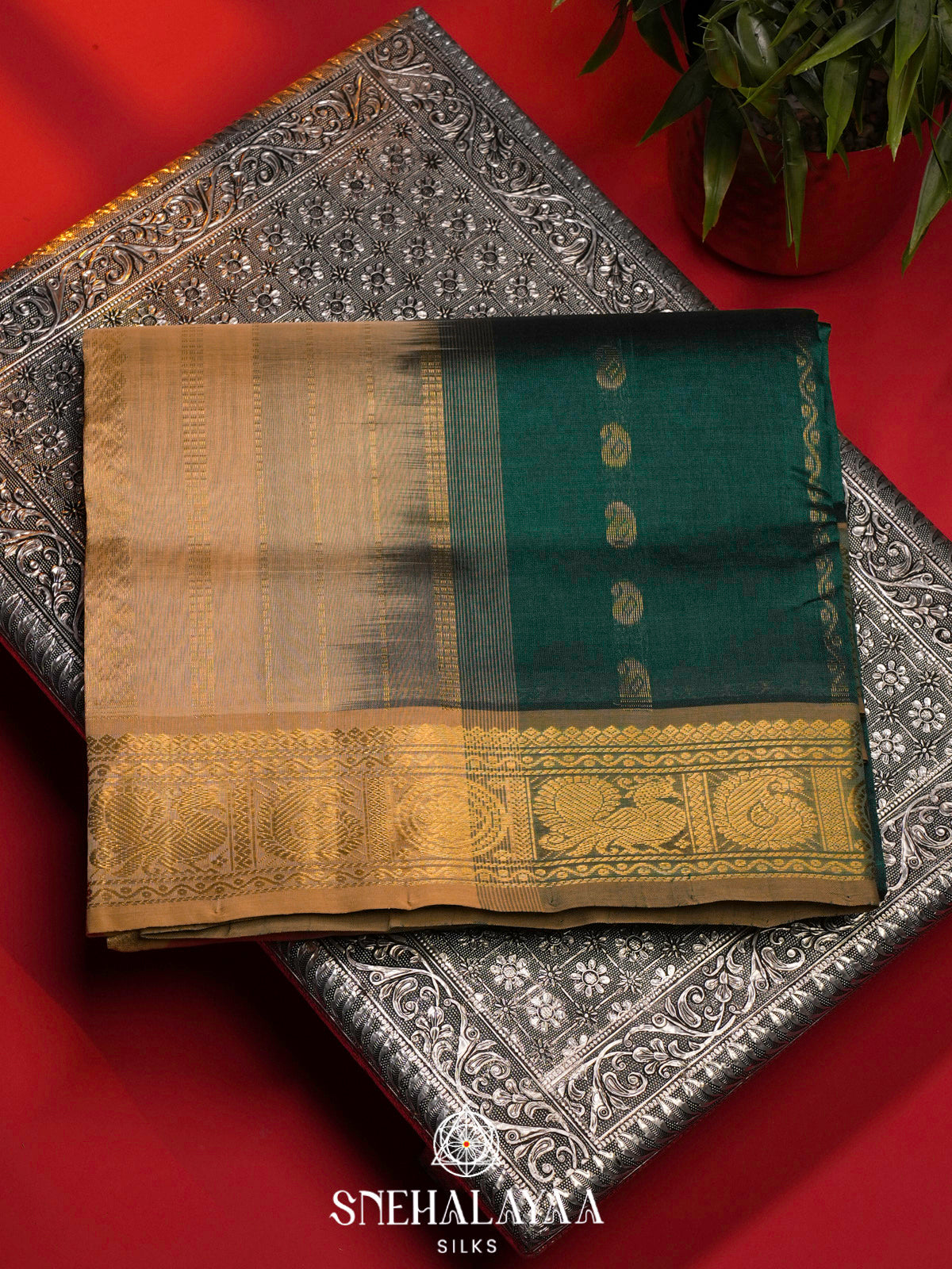 Green Kanchi Silk Cotton Saree