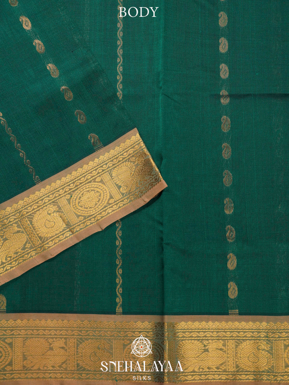 Green Kanchi Silk Cotton Saree