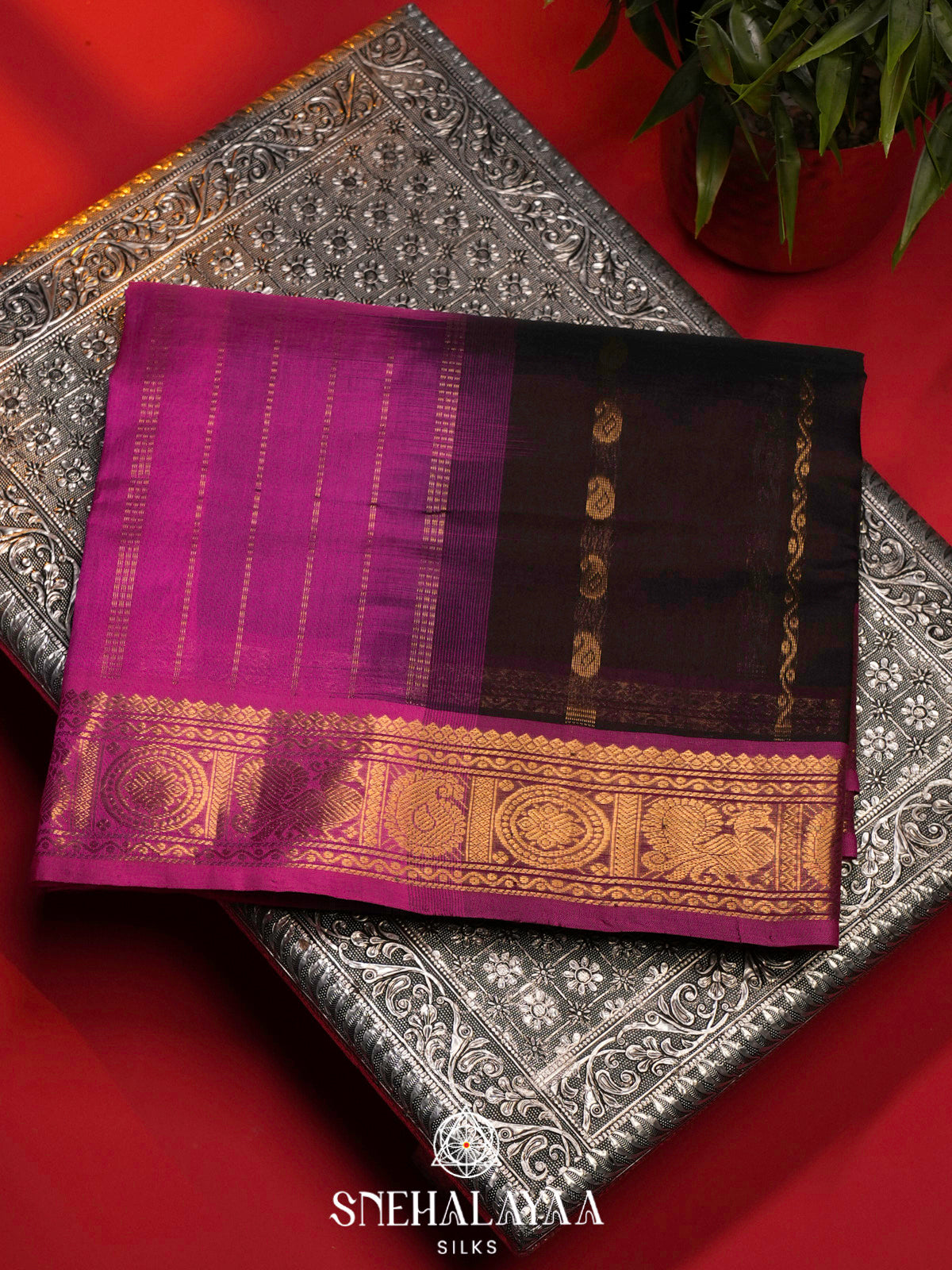 Coffee Brown Kanchi Silk Cotton Saree