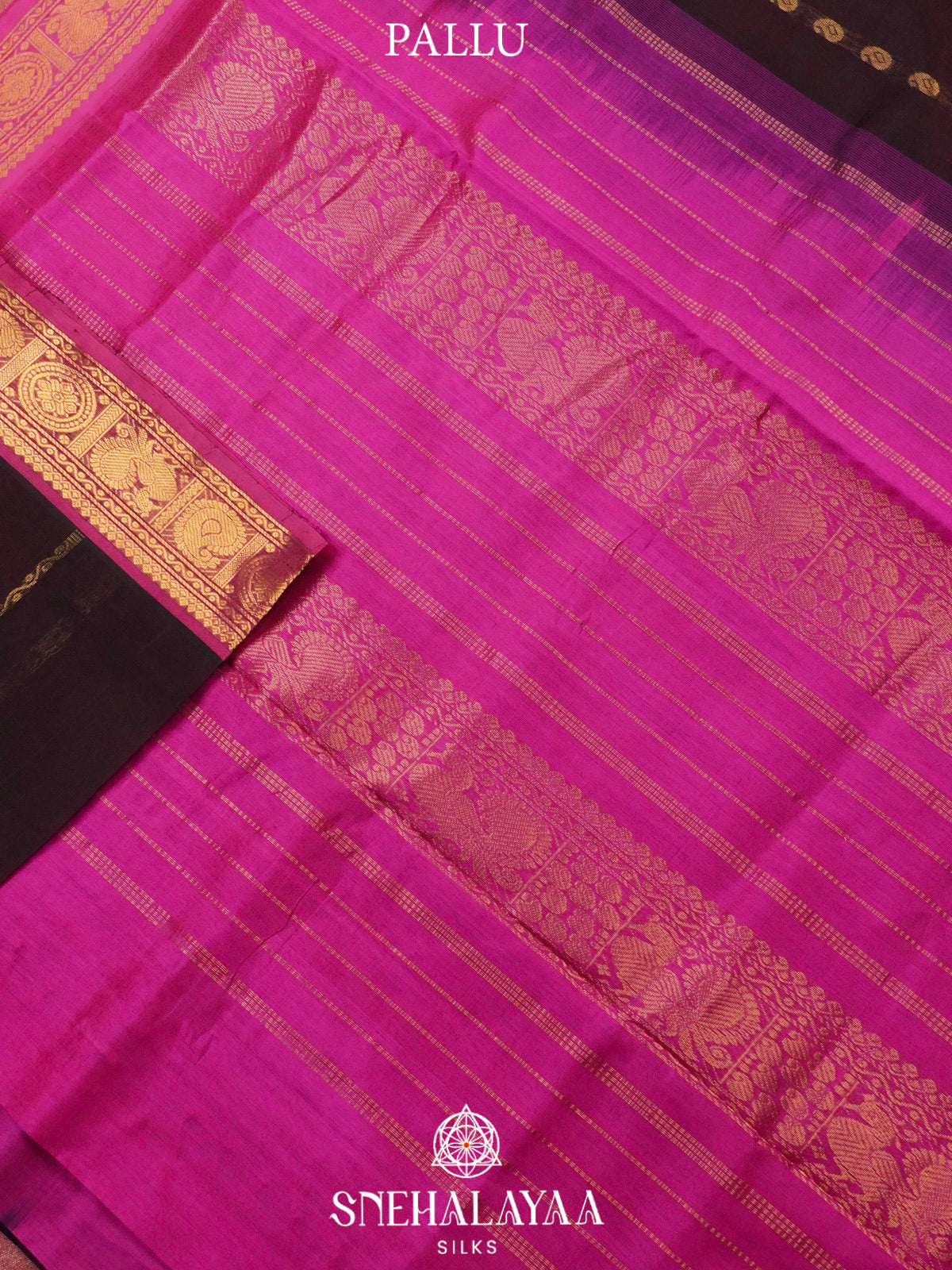 Coffee Brown Kanchi Silk Cotton Saree