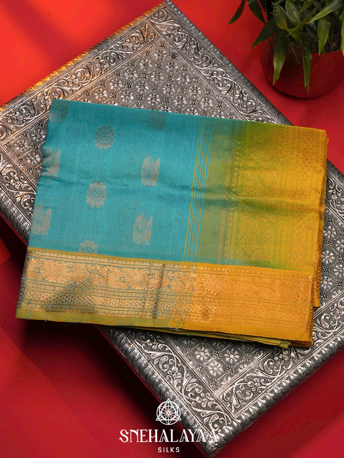 Sky Blue Kanchi Silk Cotton Saree