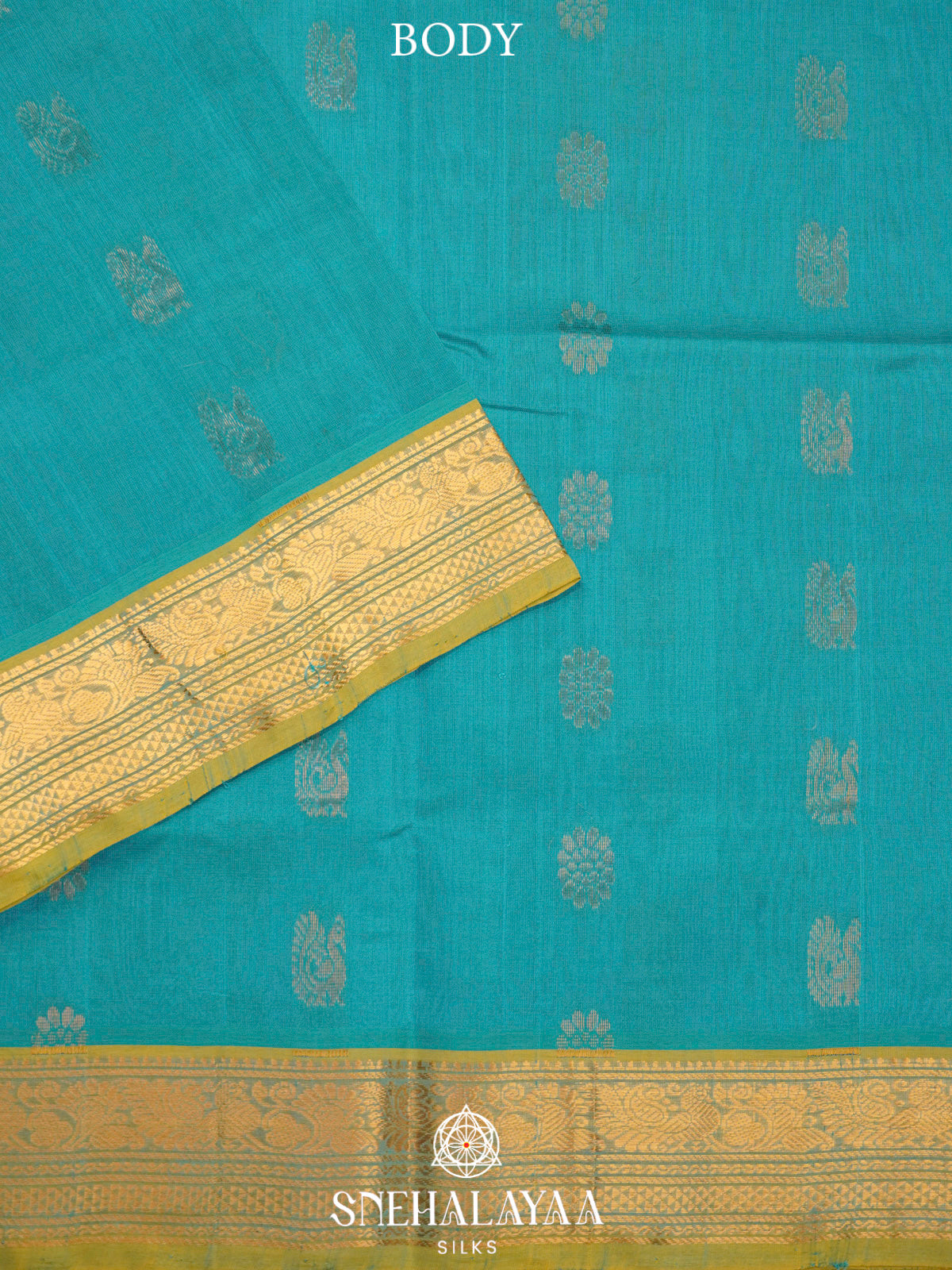 Sky Blue Kanchi Silk Cotton Saree